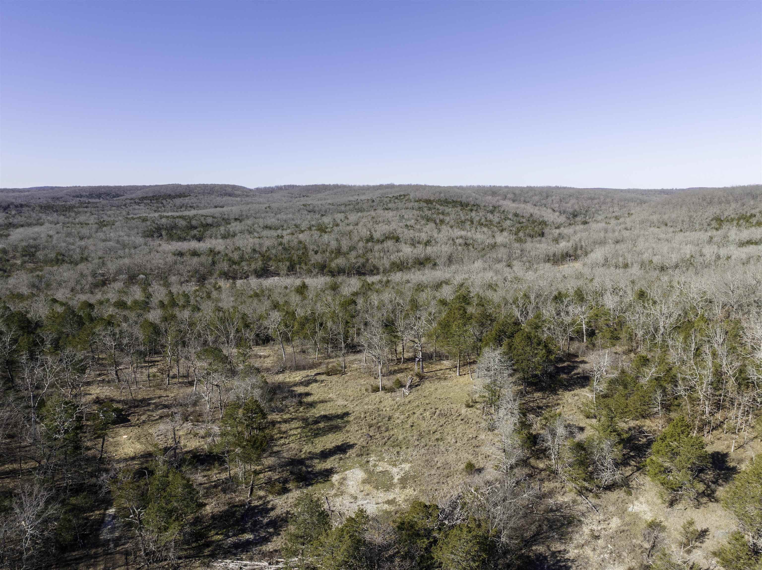 Photo 27 - Vacant Land for sale – 000  Buck Ridge   Williford, AR