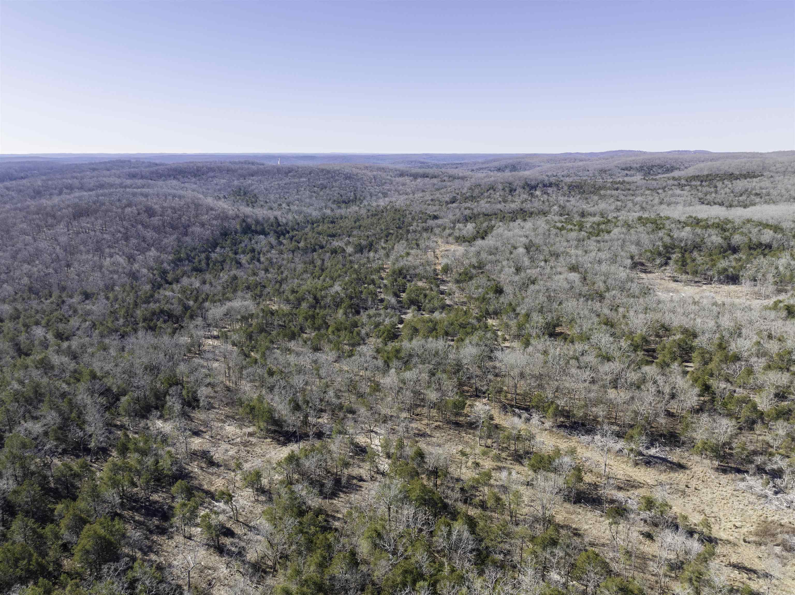 Photo 30 - Vacant Land for sale – 000  Buck Ridge   Williford, AR