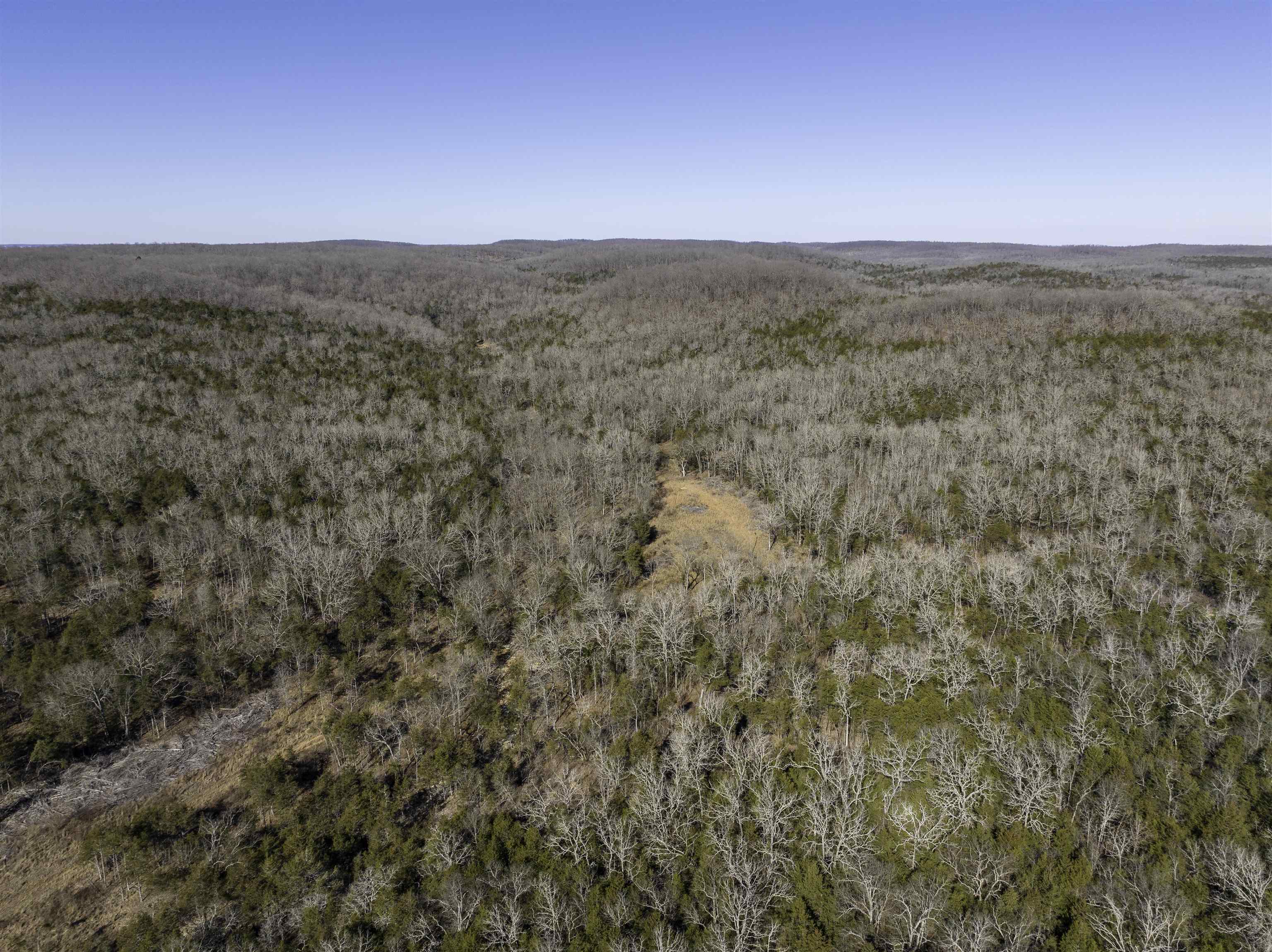 Photo 31 - Vacant Land for sale – 000  Buck Ridge   Williford, AR