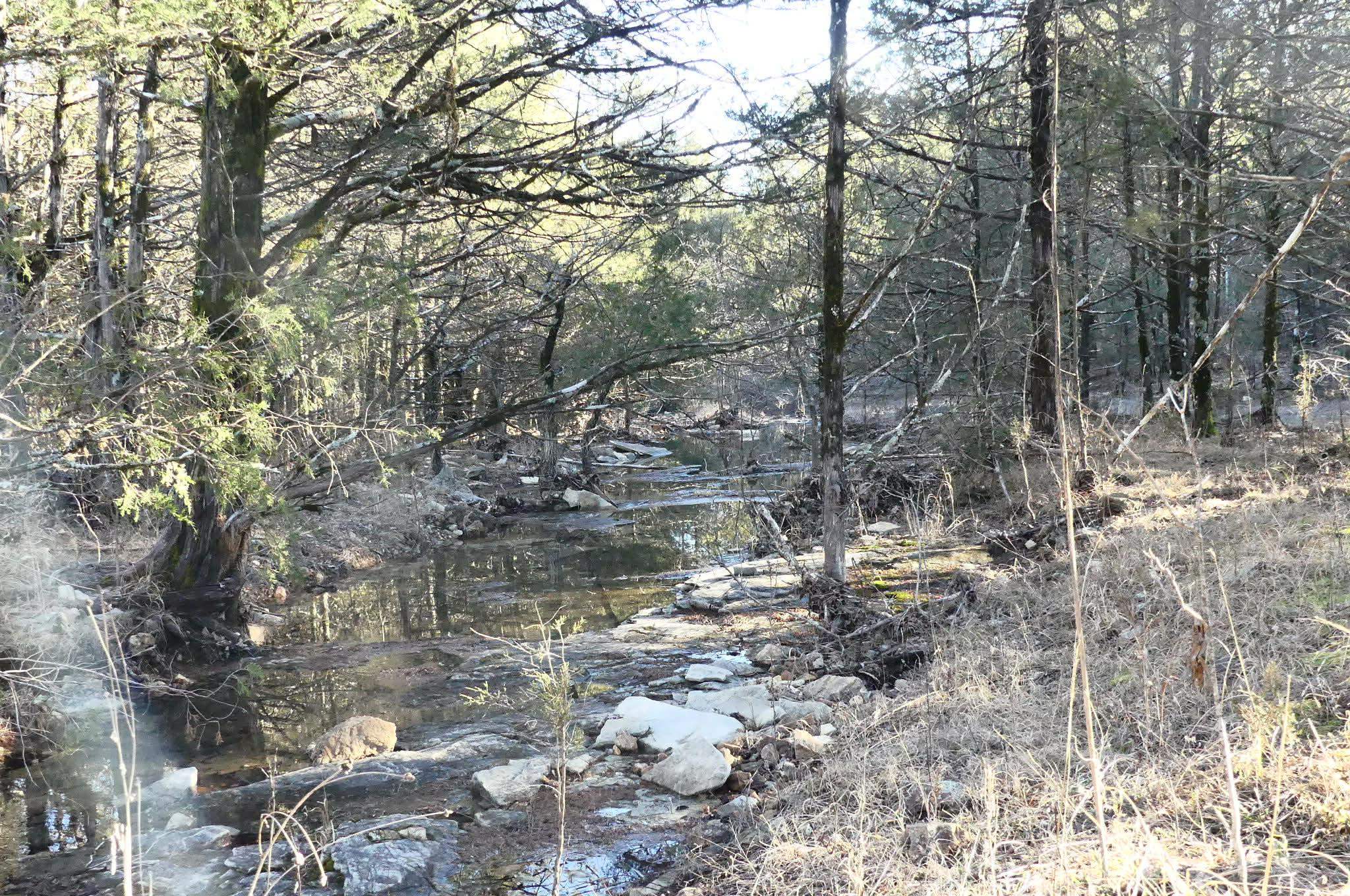 Photo 32 - Vacant Land for sale – 000  Buck Ridge   Williford, AR