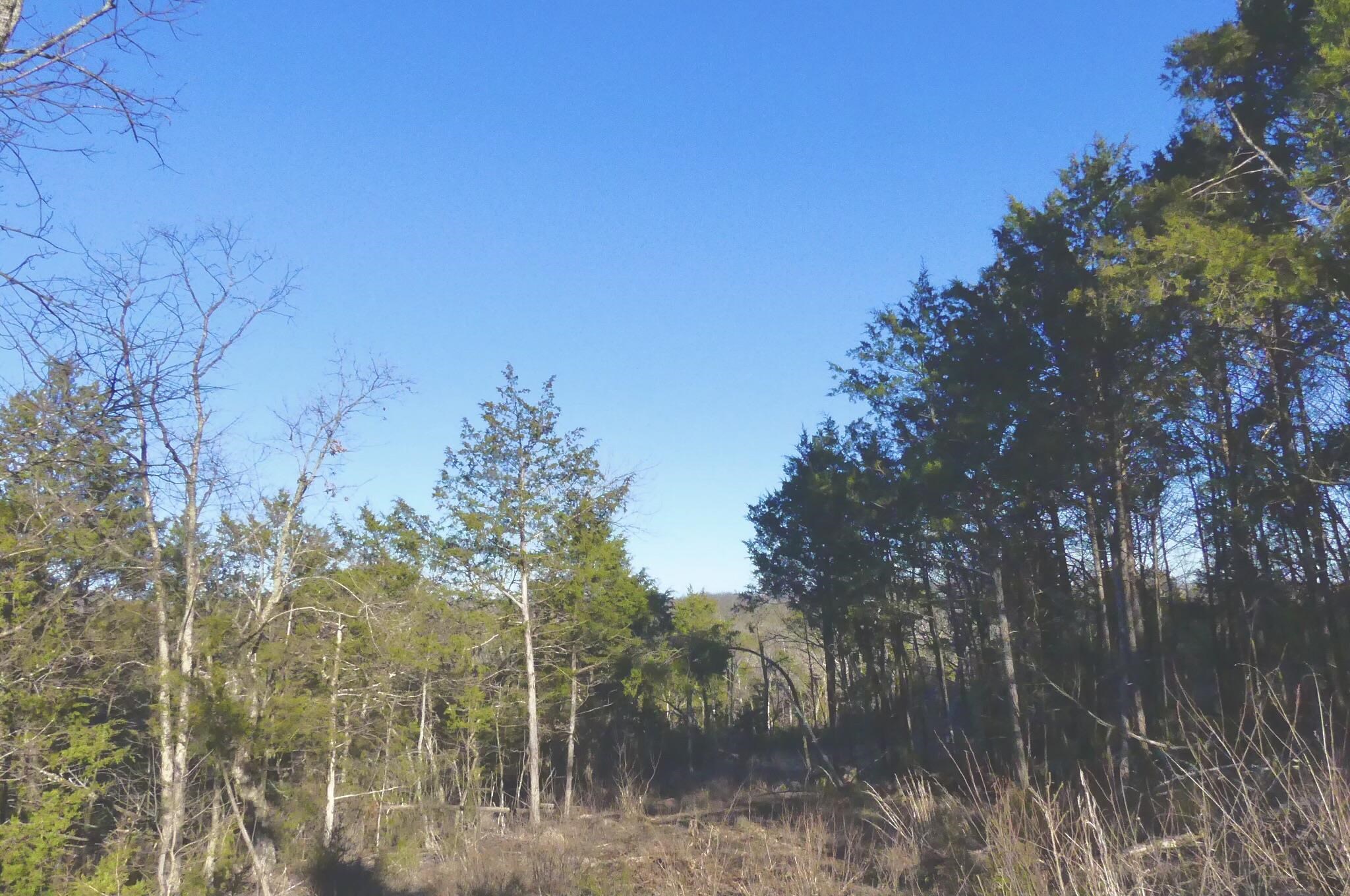 Photo 34 - Vacant Land for sale – 000  Buck Ridge   Williford, AR