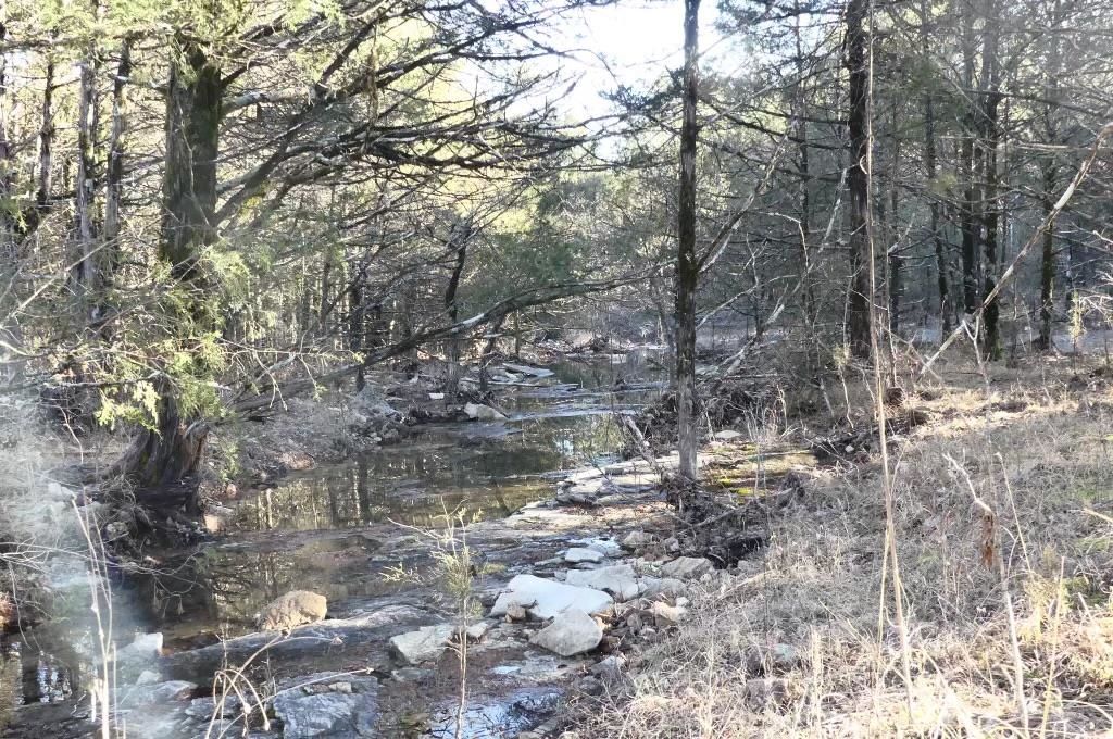 Photo 35 - Vacant Land for sale – 000  Buck Ridge   Williford, AR