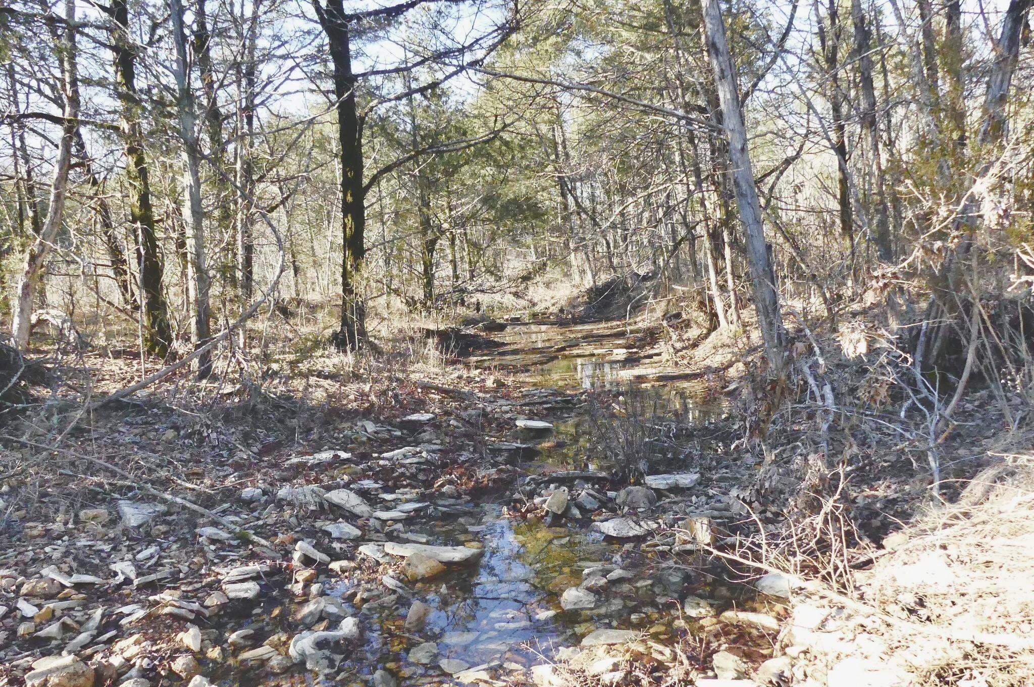 Photo 36 - Vacant Land for sale – 000  Buck Ridge   Williford, AR