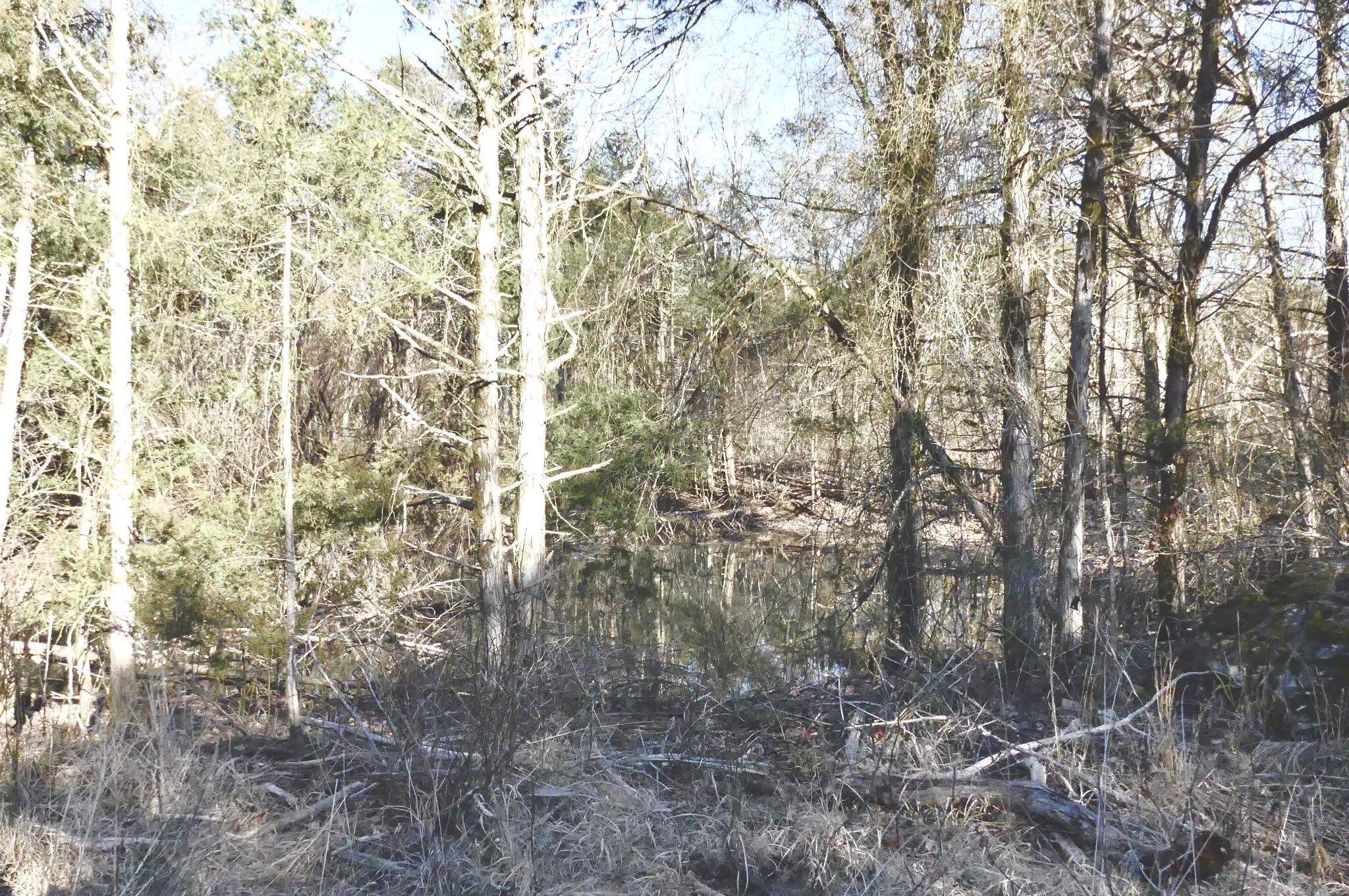 Photo 37 - Vacant Land for sale – 000  Buck Ridge   Williford, AR