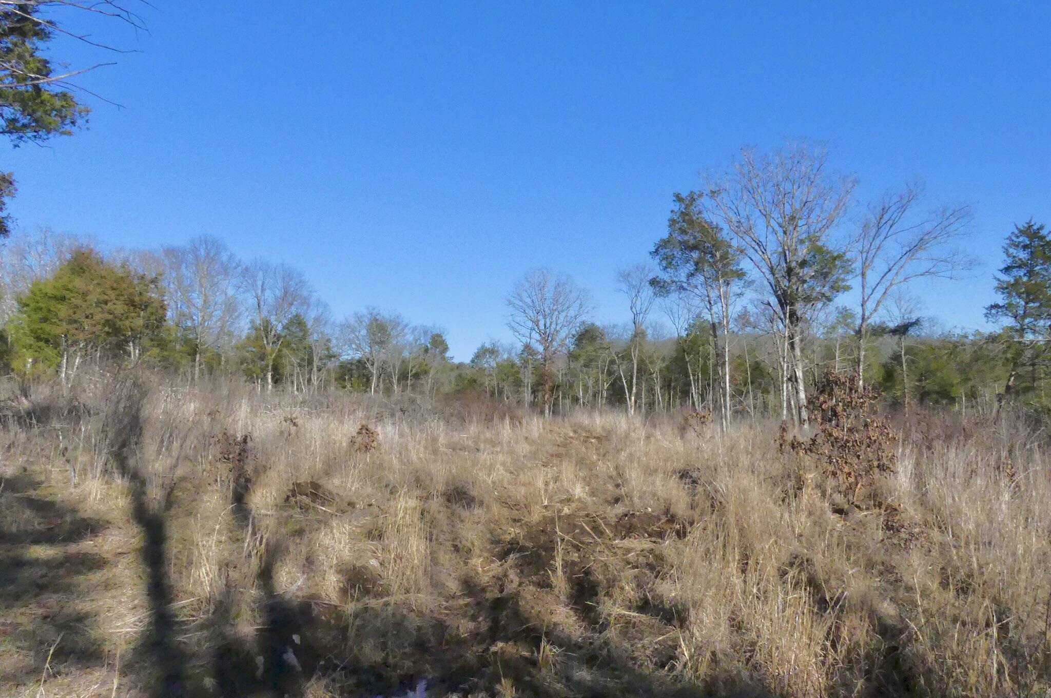 Photo 40 - Vacant Land for sale – 000  Buck Ridge   Williford, AR