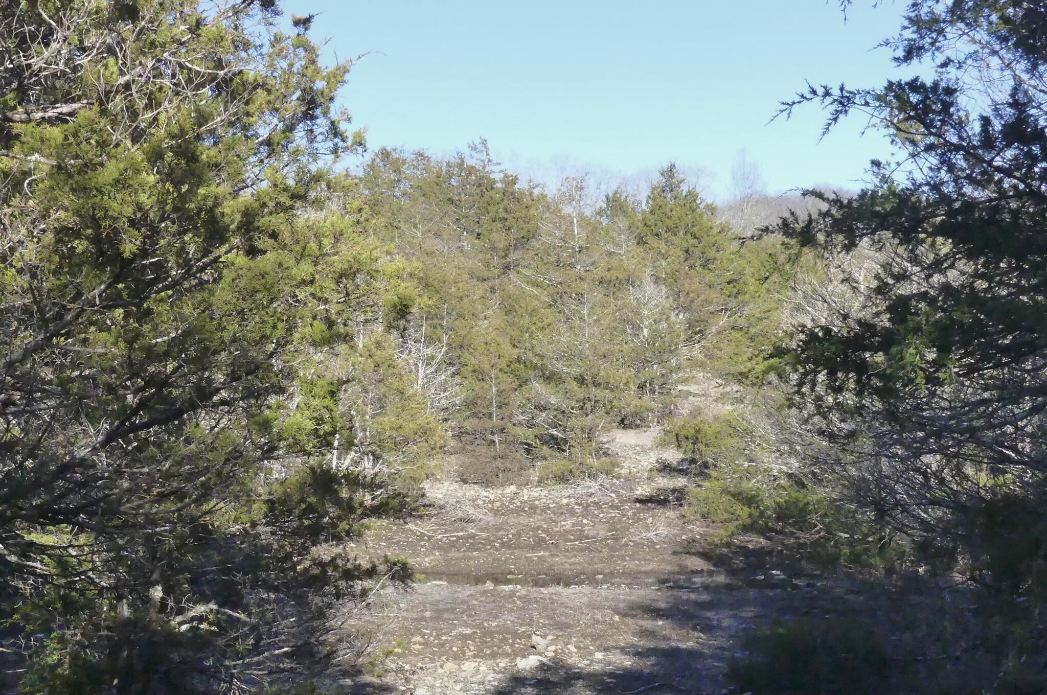 Photo 41 - Vacant Land for sale – 000  Buck Ridge   Williford, AR