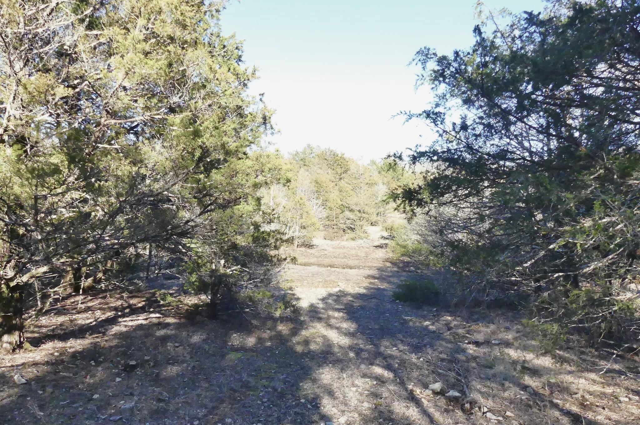 Photo 42 - Vacant Land for sale – 000  Buck Ridge   Williford, AR