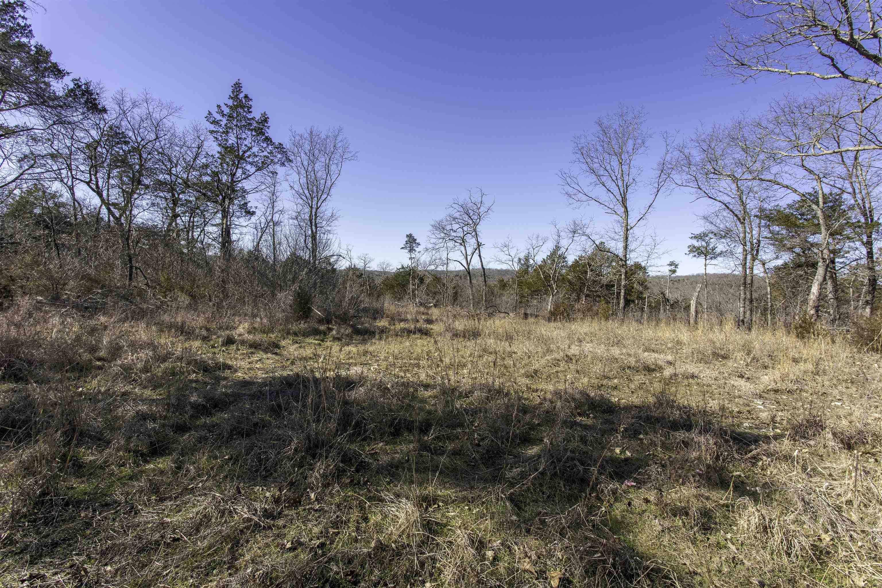 Photo 6 - Vacant Land for sale – 000  Buck Ridge   Williford, AR