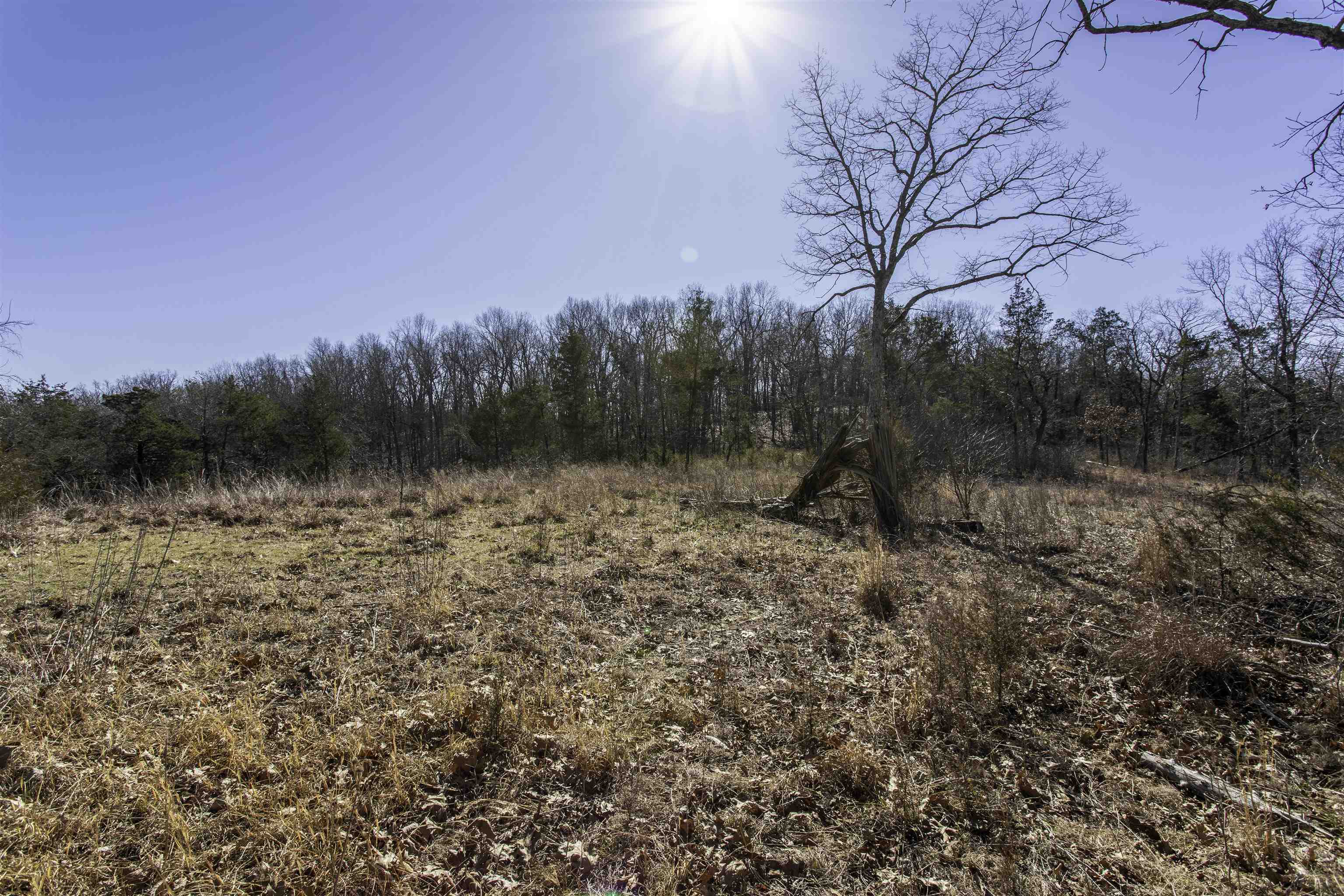 Photo 7 - Vacant Land for sale – 000  Buck Ridge   Williford, AR