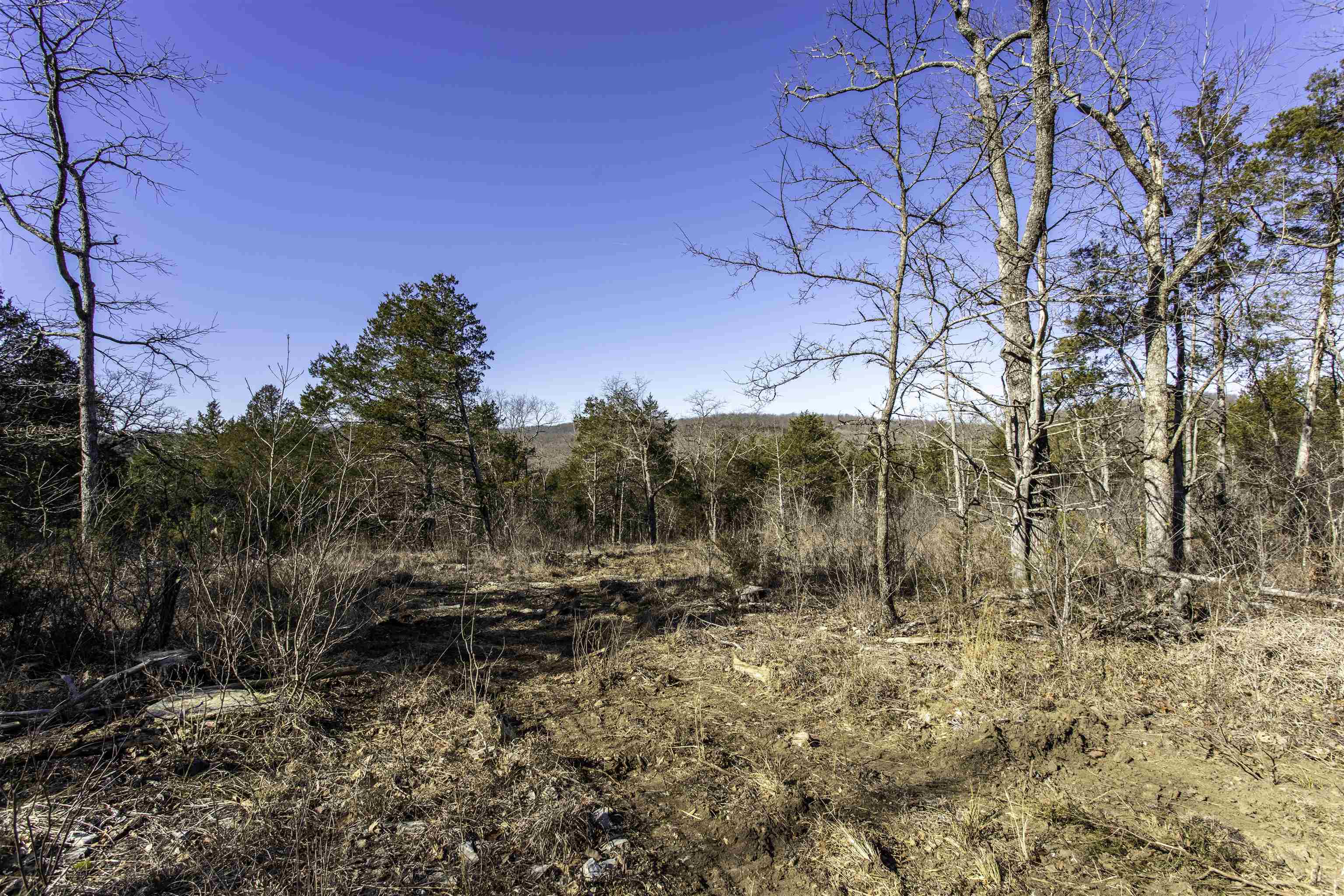 Photo 8 - Vacant Land for sale – 000  Buck Ridge   Williford, AR