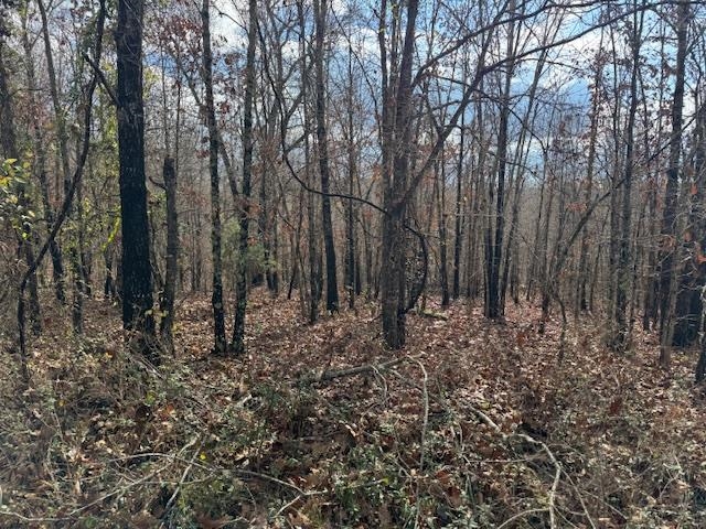 Photo 48 - Residential for sale – 1173  Moten Cemetery   Mammoth Spring, AR