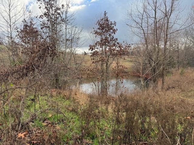 Photo 50 - Residential for sale – 1173  Moten Cemetery   Mammoth Spring, AR