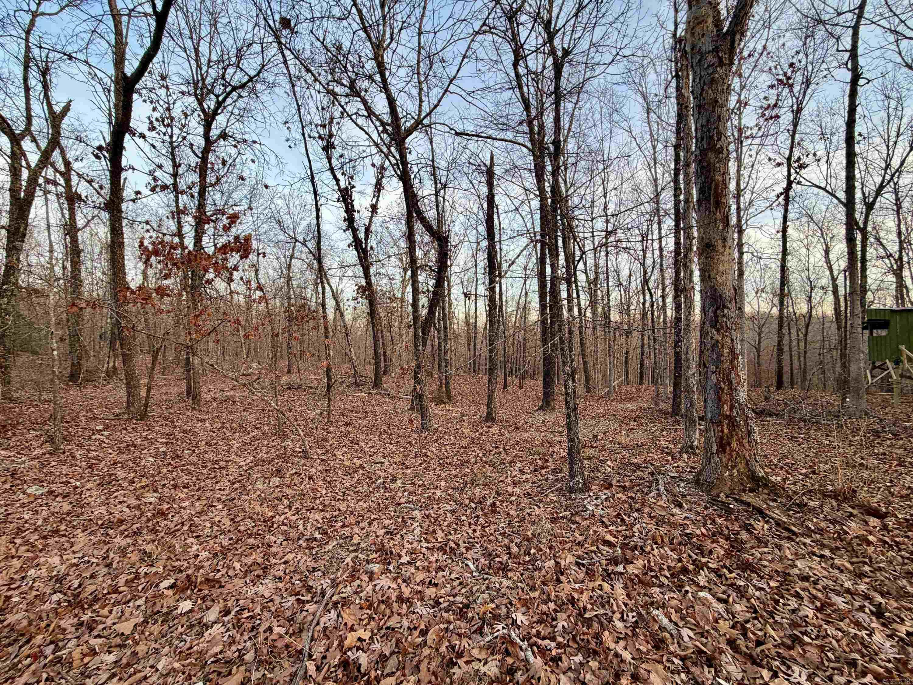 Photo 2 - Vacant Land for sale – 0  Quail Creek Road   Mammoth Spring, AR