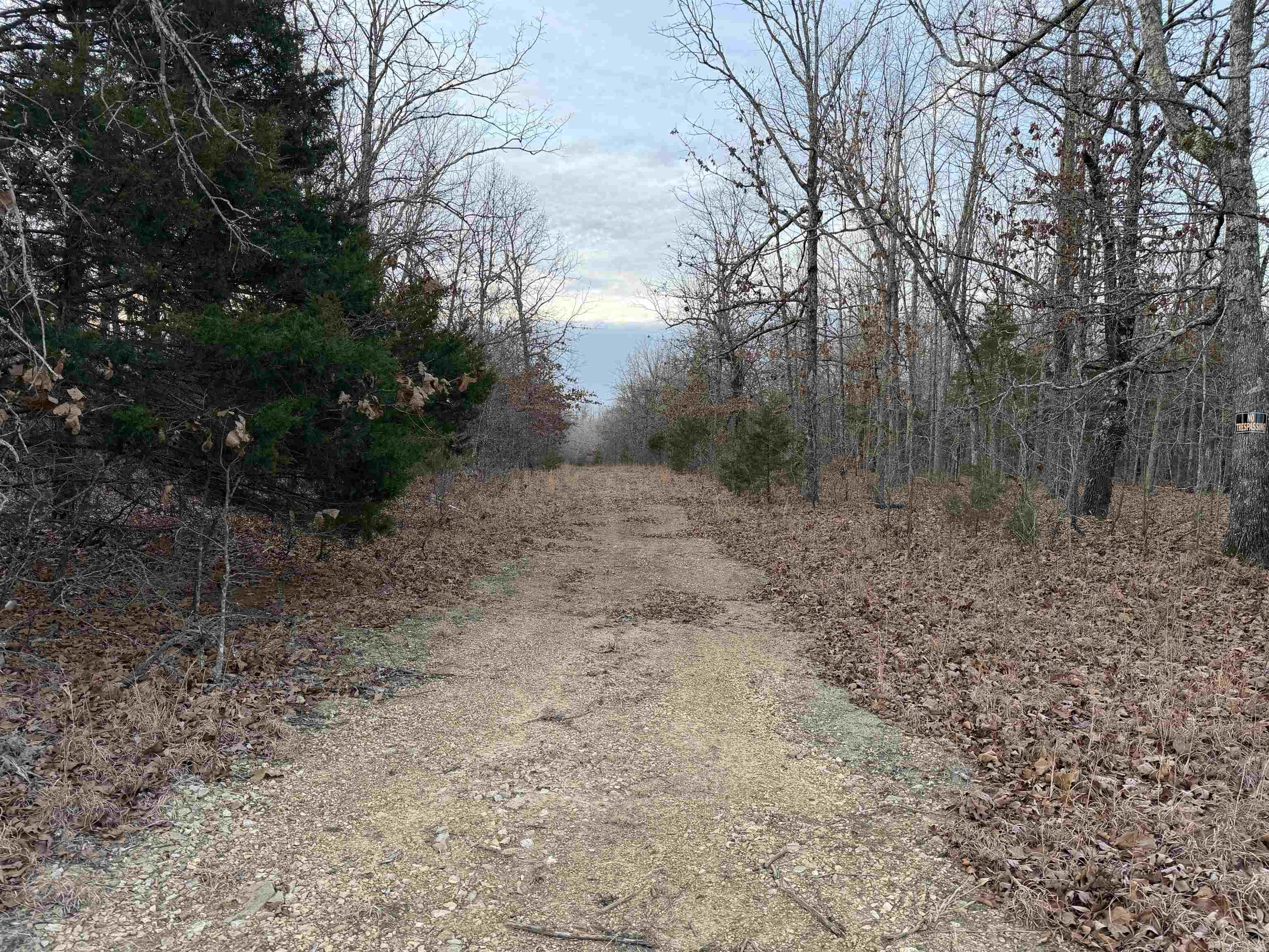 Photo 16 - Vacant Land for sale – 0  Quail Creek Road   Mammoth Spring, AR