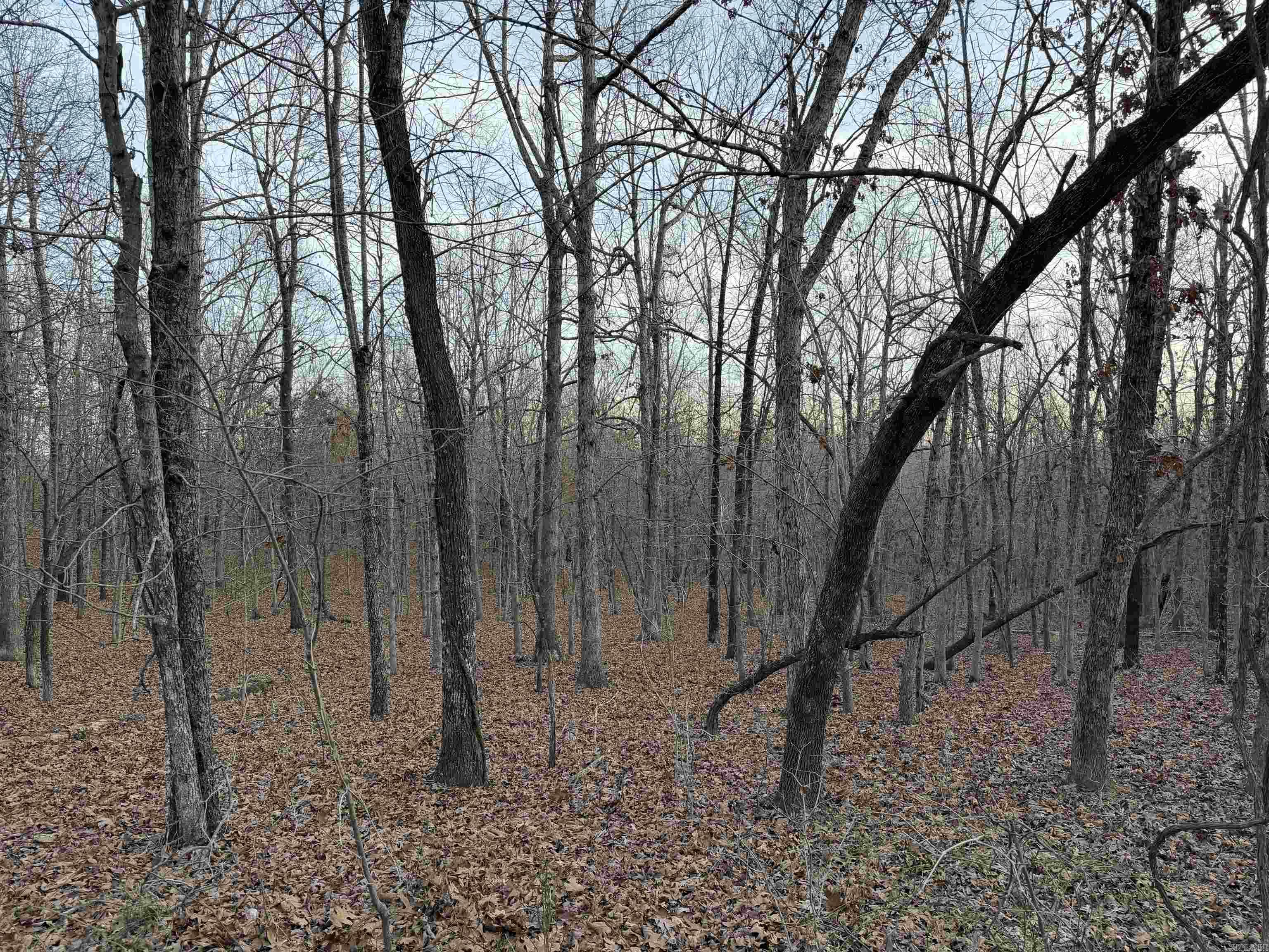 Photo 18 - Vacant Land for sale – 0  Quail Creek Road   Mammoth Spring, AR