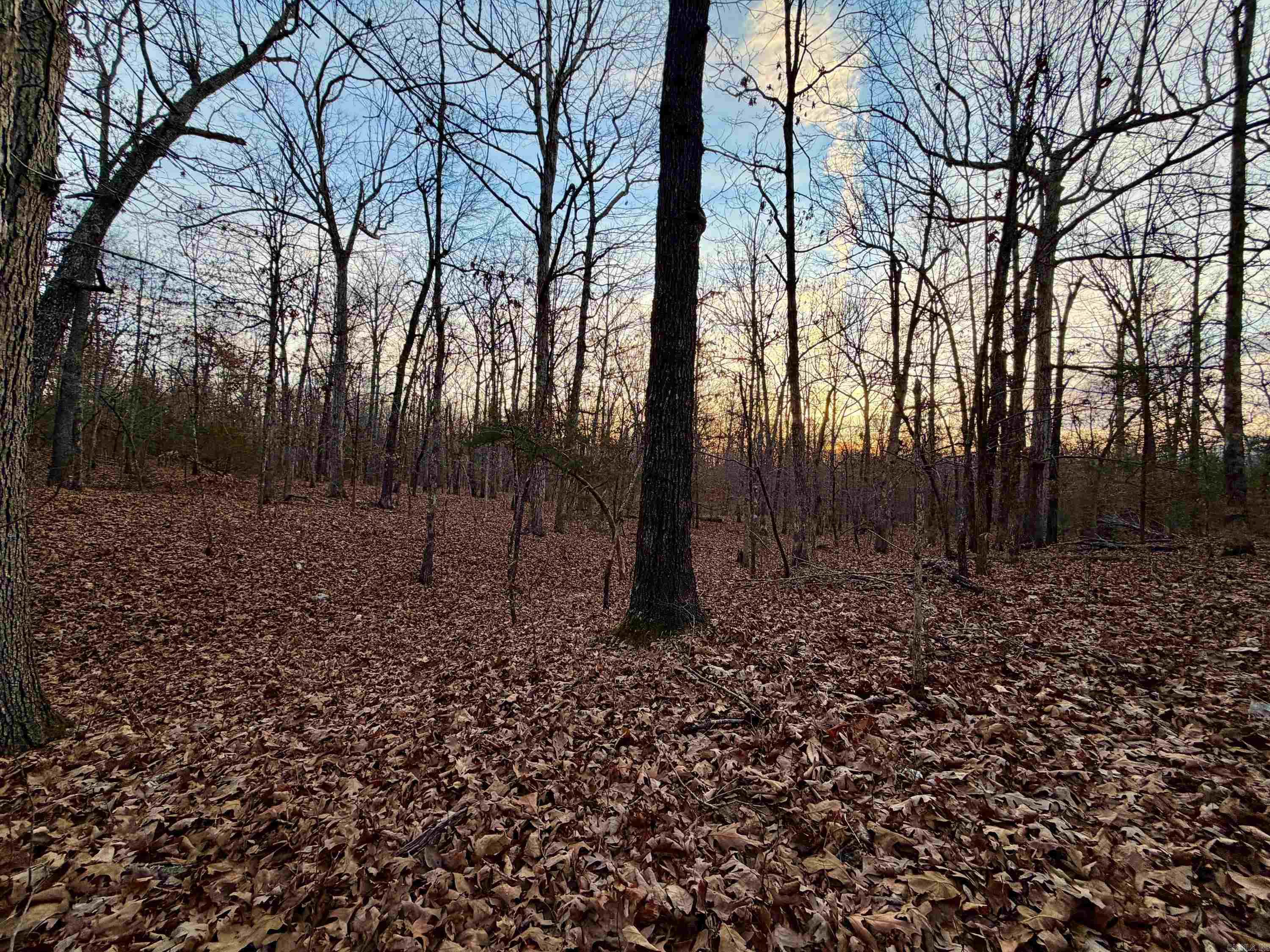 Photo 19 - Vacant Land for sale – 0  Quail Creek Road   Mammoth Spring, AR