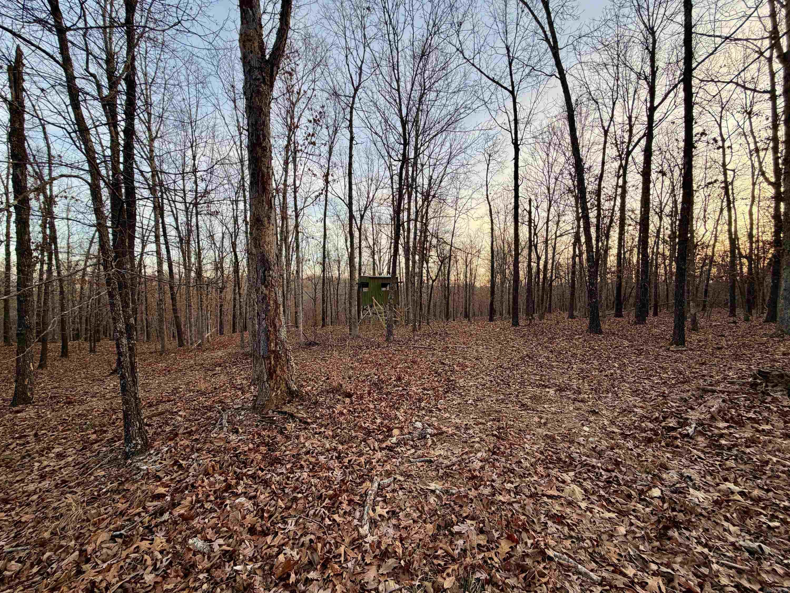 Photo 20 - Vacant Land for sale – 0  Quail Creek Road   Mammoth Spring, AR