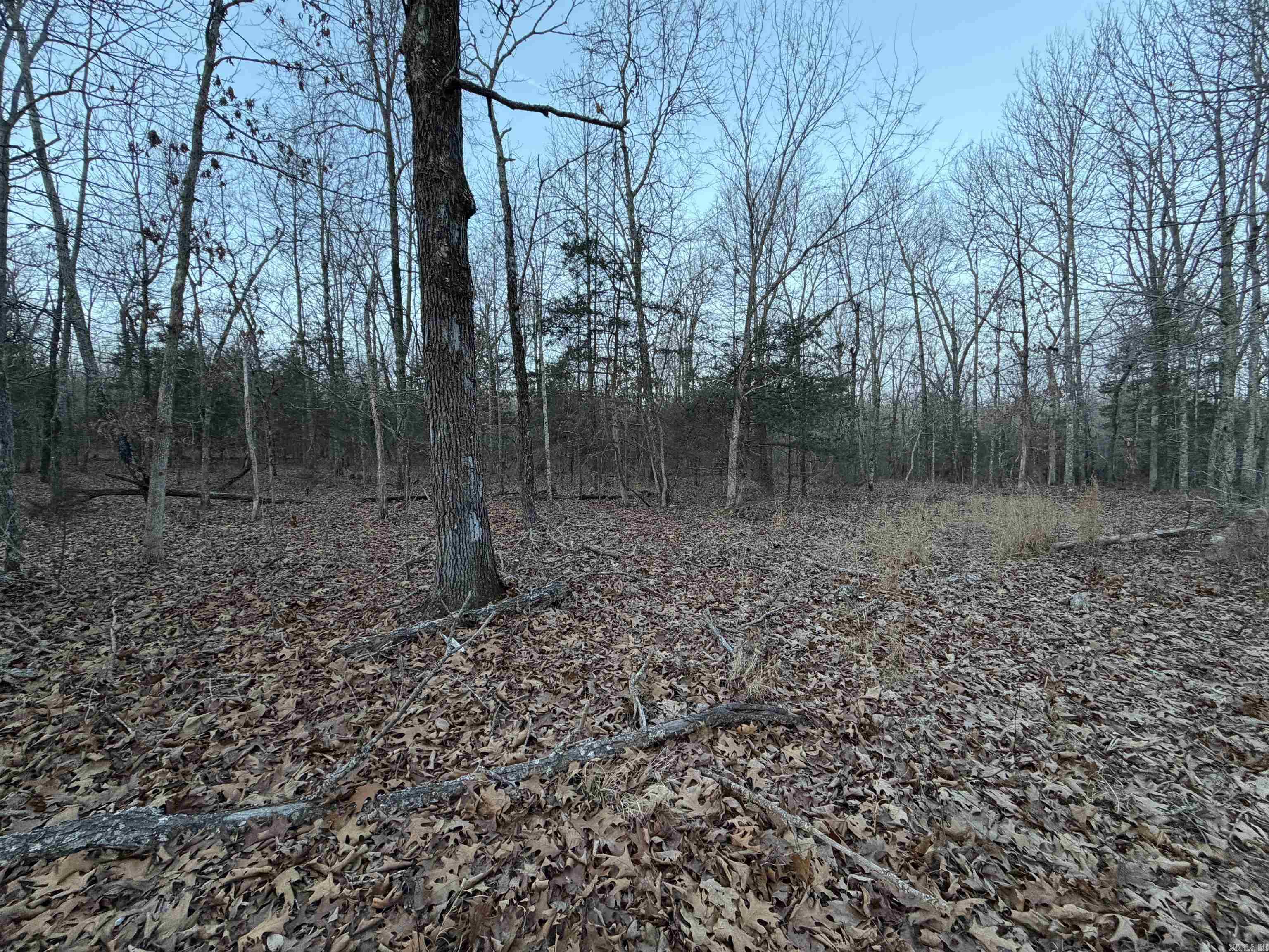 Photo 3 - Vacant Land for sale – 0  Quail Creek Road   Mammoth Spring, AR