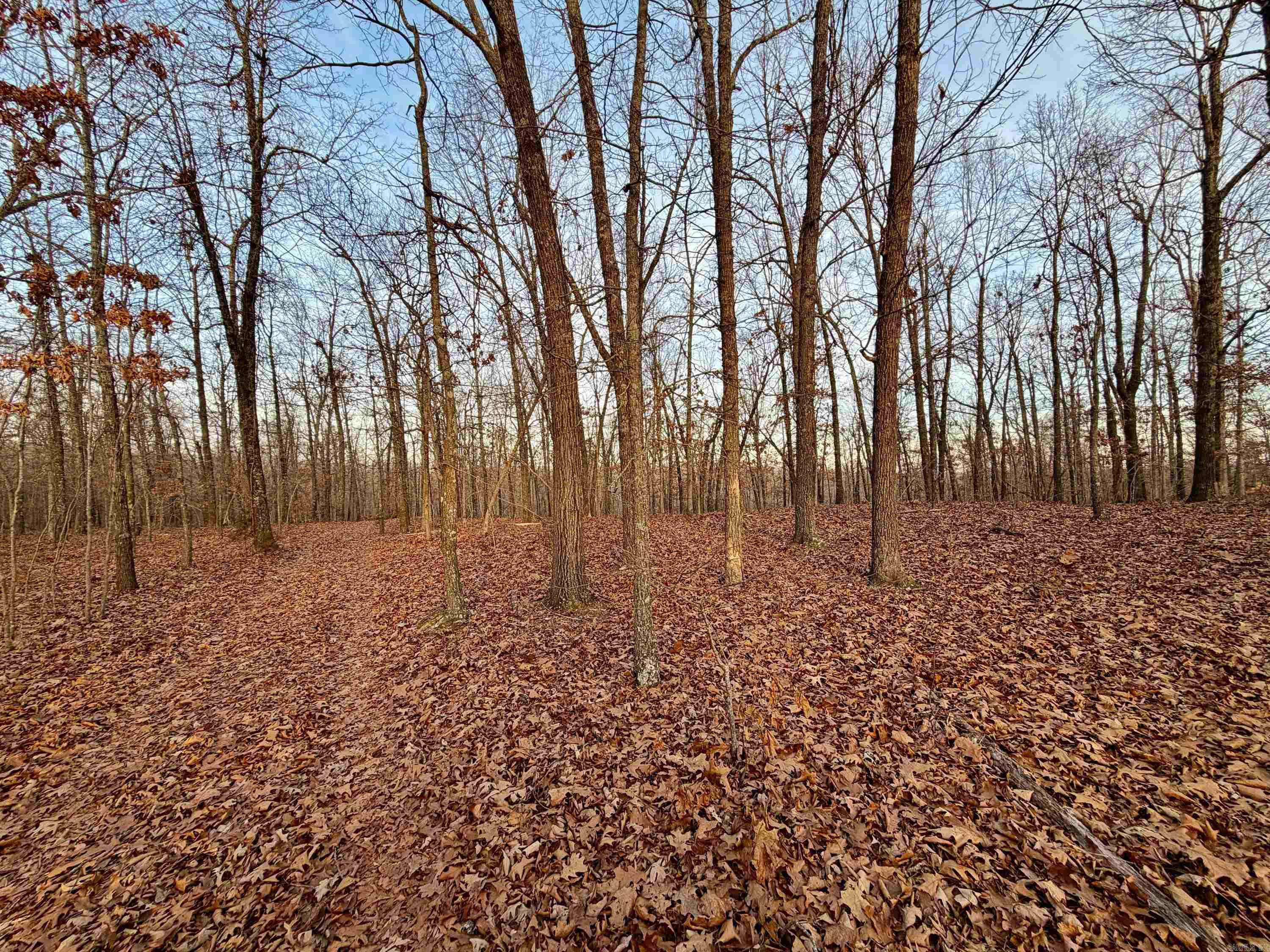Photo 22 - Vacant Land for sale – 0  Quail Creek Road   Mammoth Spring, AR