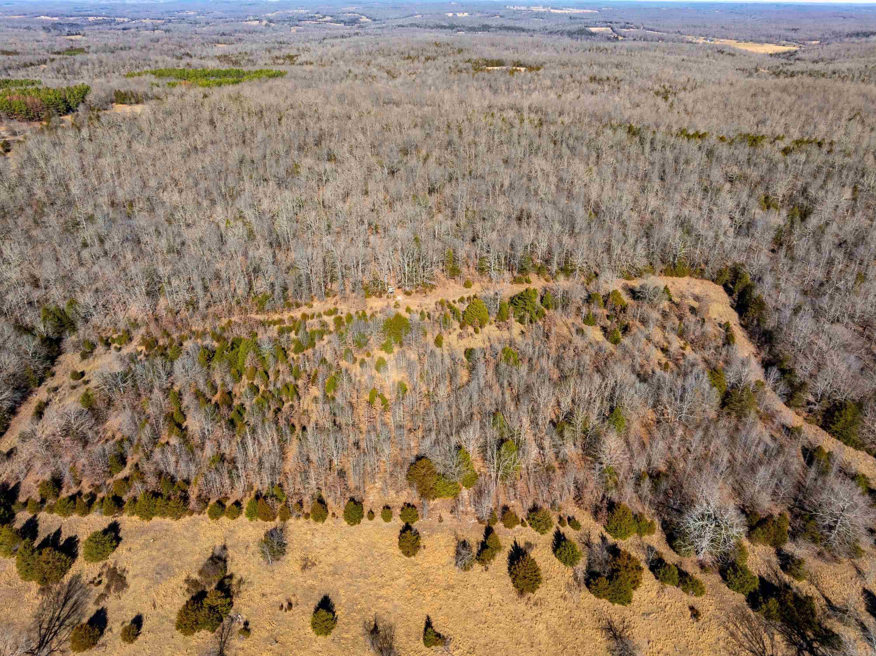 Photo 26 - Vacant Land for sale – 0  Quail Creek Road   Mammoth Spring, AR