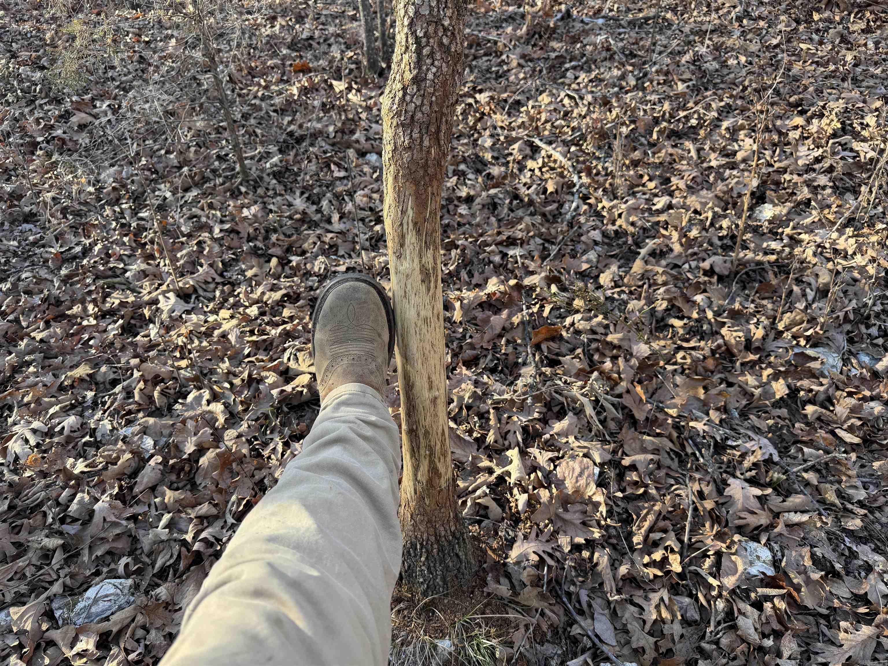 Photo 27 - Vacant Land for sale – 0  Quail Creek Road   Mammoth Spring, AR