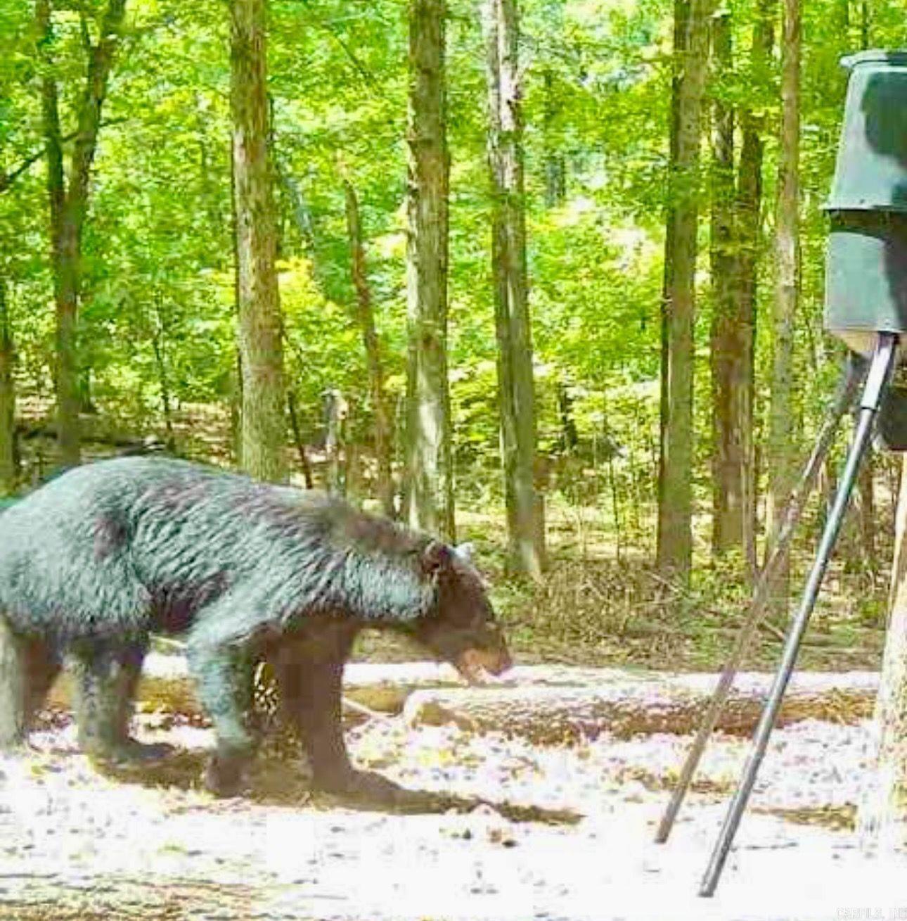 Photo 28 - Vacant Land for sale – 0  Quail Creek Road   Mammoth Spring, AR