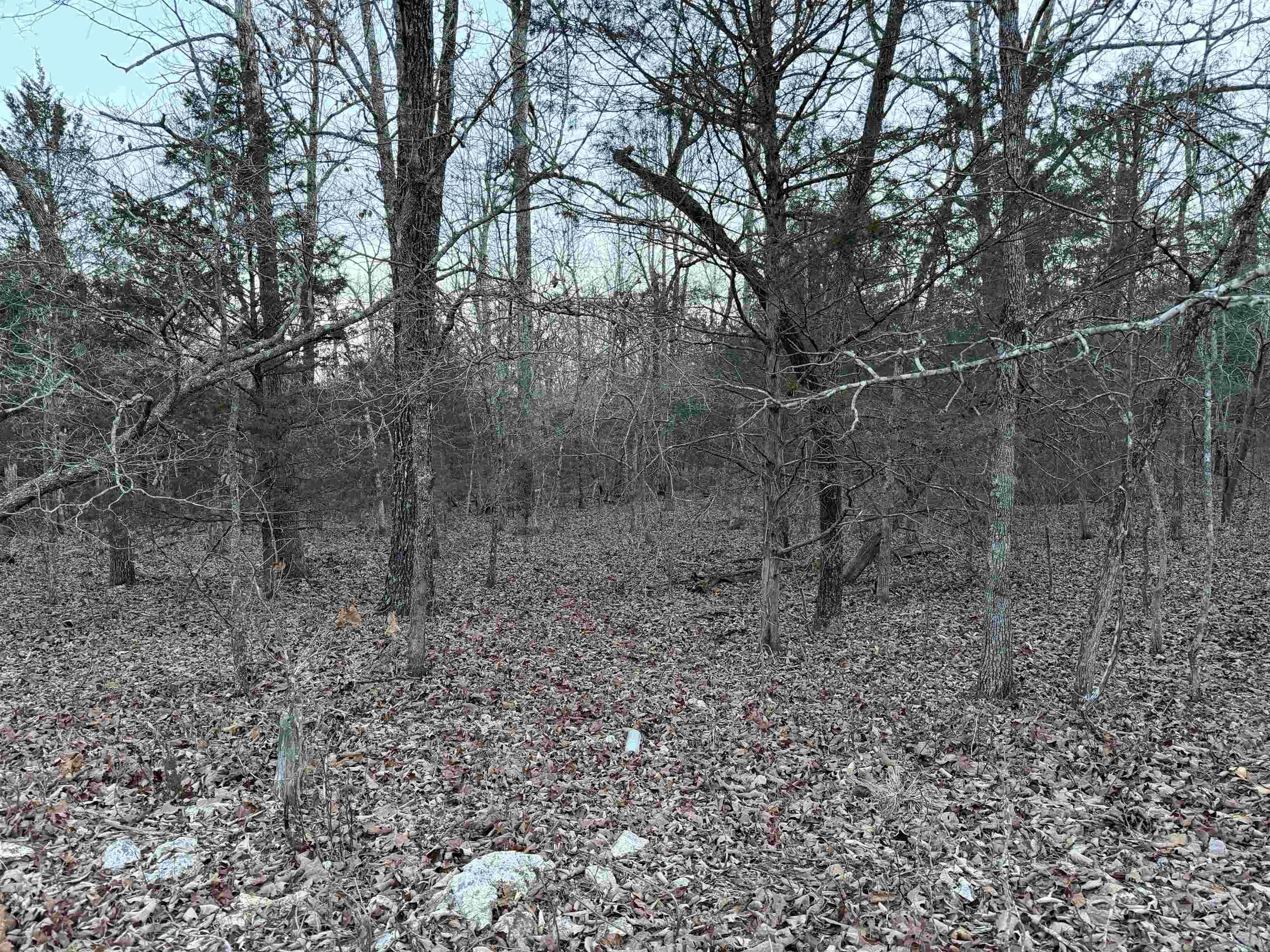 Photo 5 - Vacant Land for sale – 0  Quail Creek Road   Mammoth Spring, AR