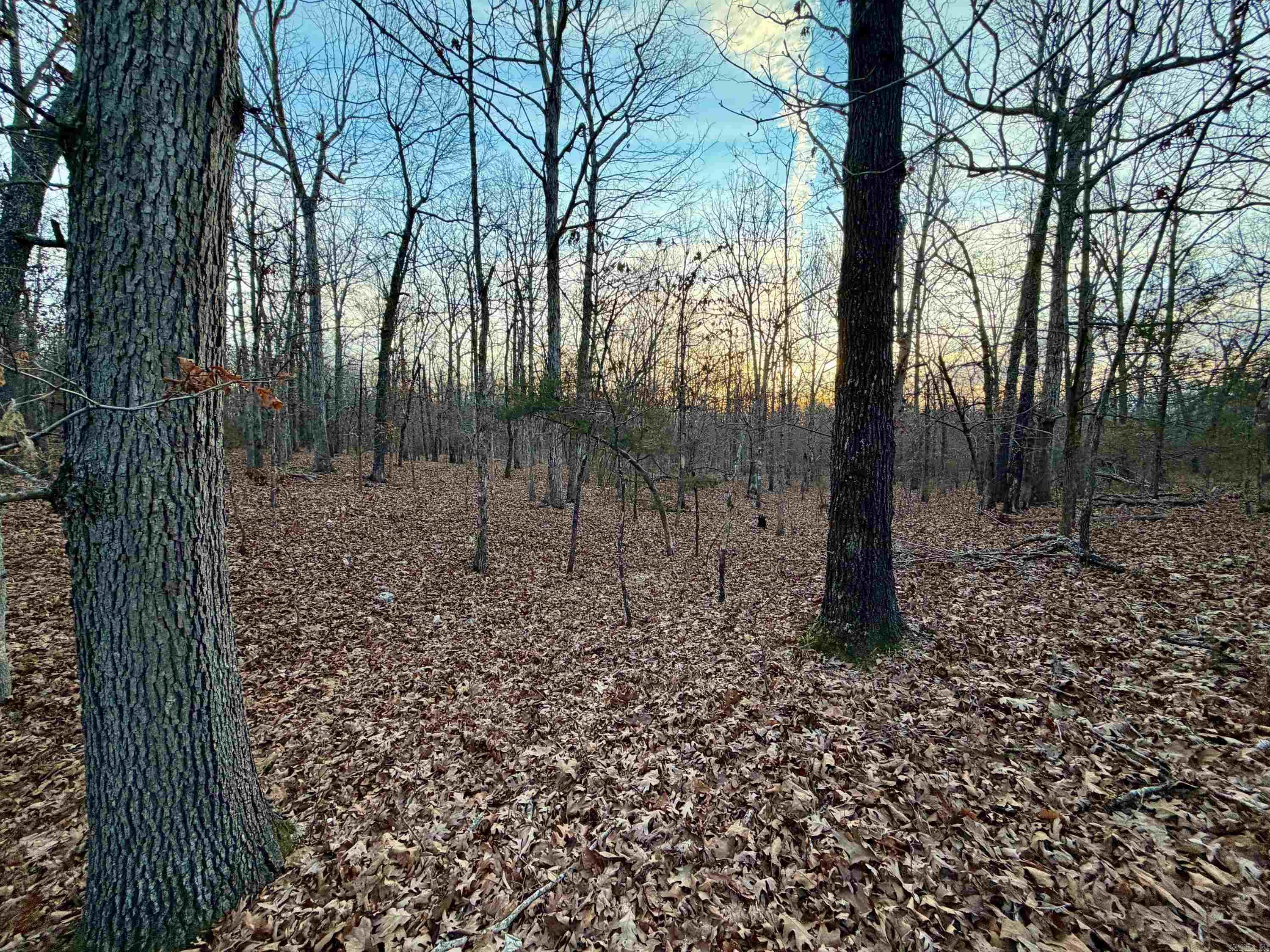 Photo 7 - Vacant Land for sale – 0  Quail Creek Road   Mammoth Spring, AR