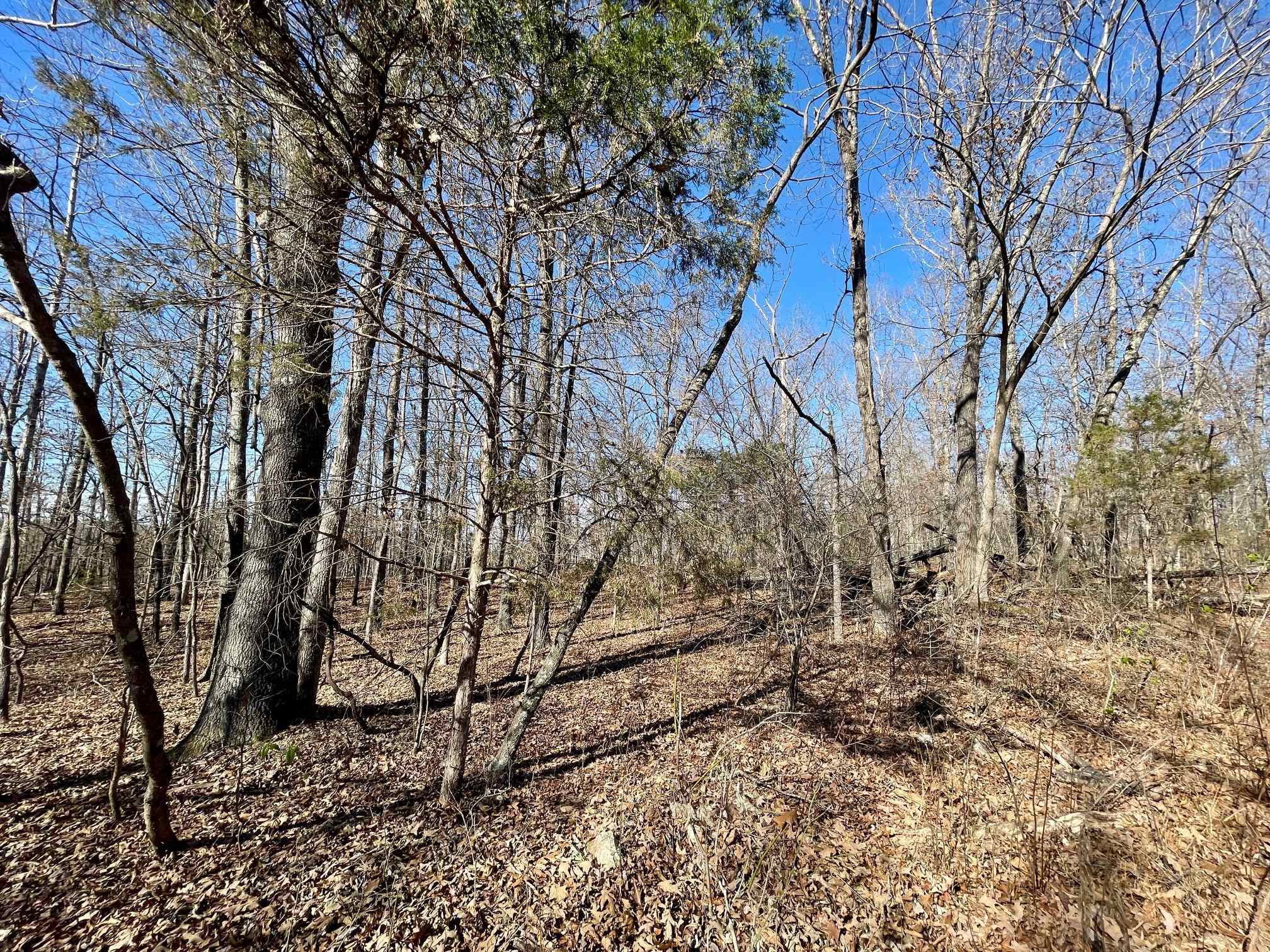 Photo 11 - Vacant Land for sale – 0  Quiet Wood   Hardy, AR