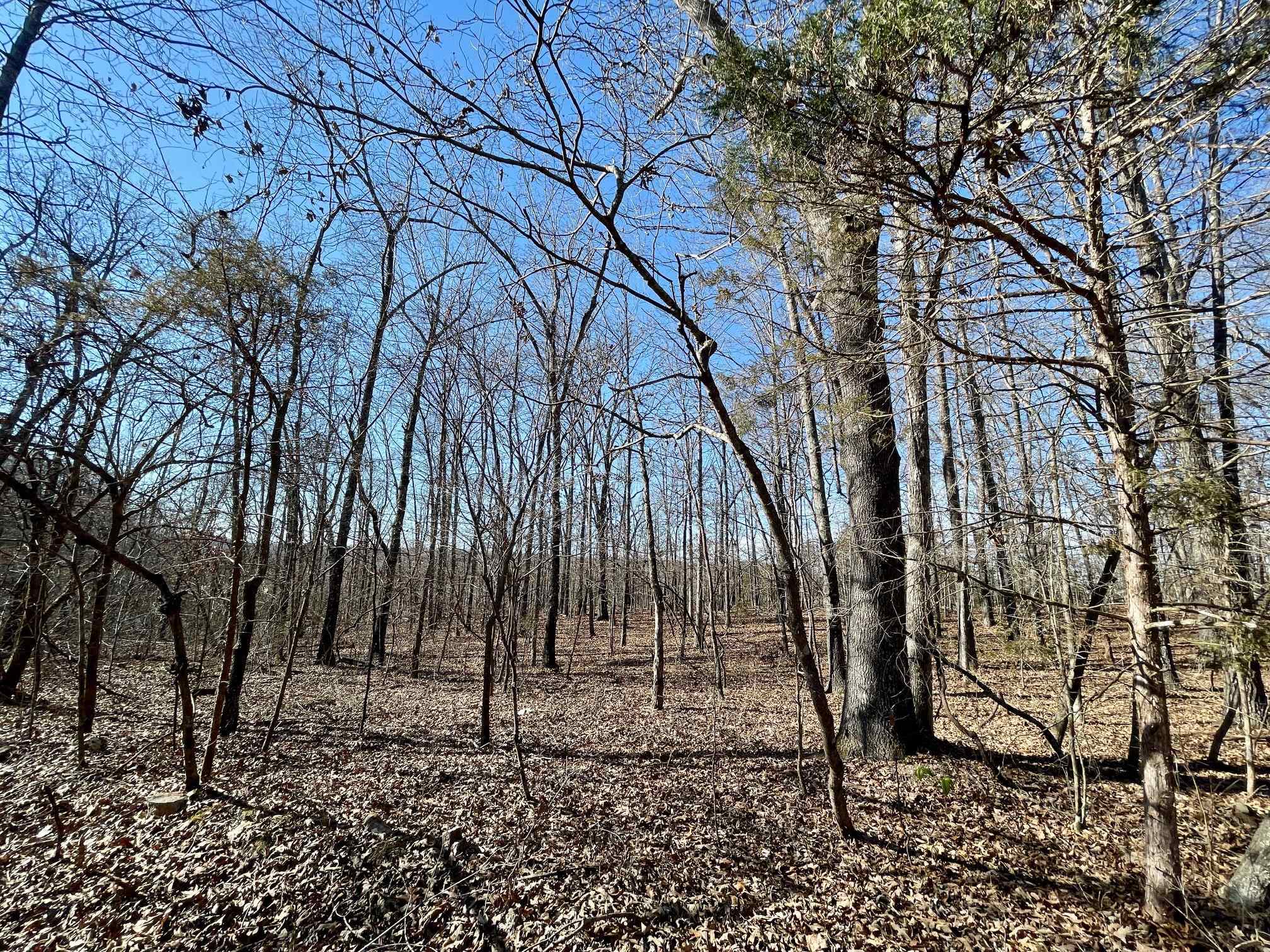 Photo 12 - Vacant Land for sale – 0  Quiet Wood   Hardy, AR