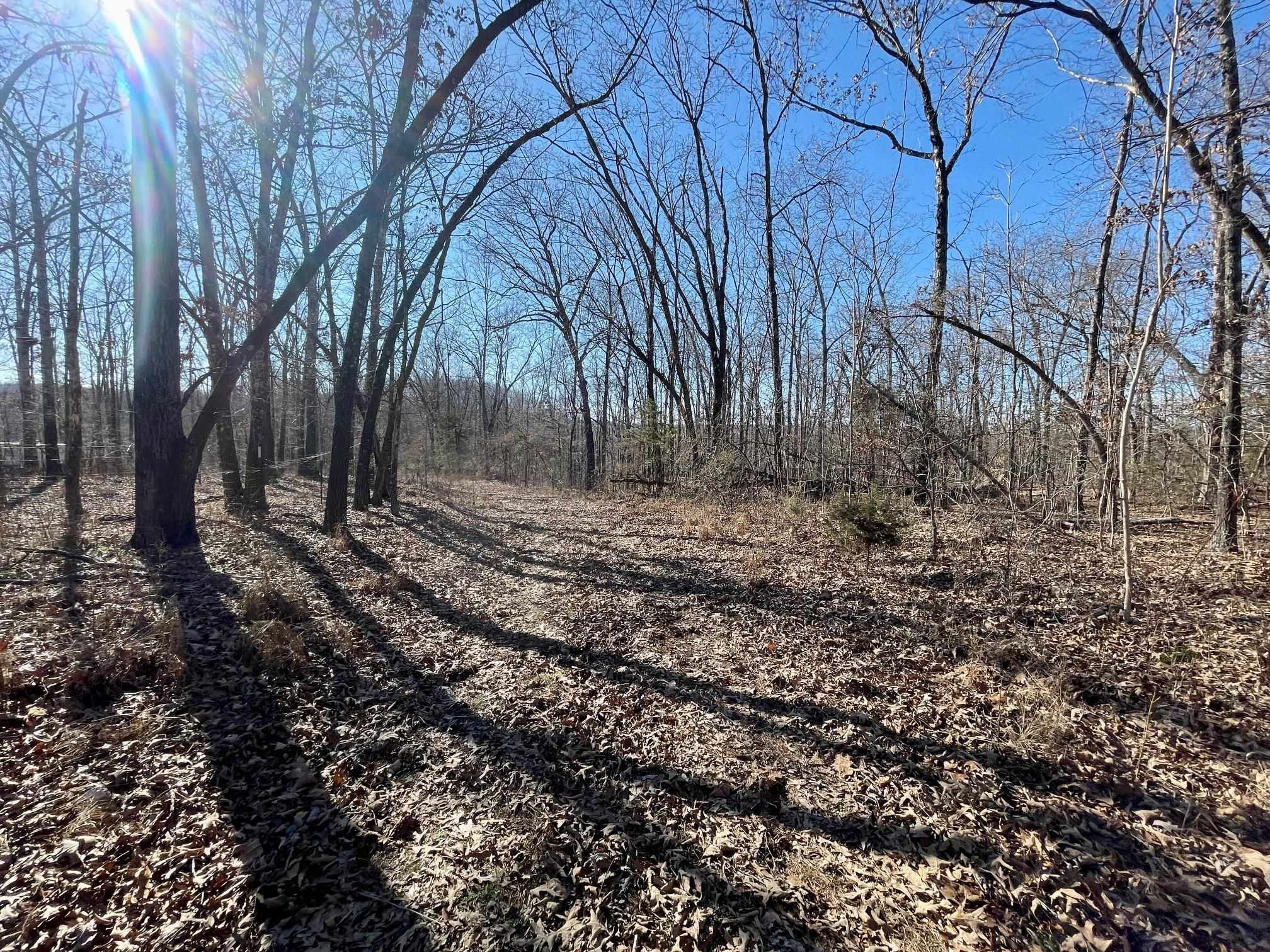 Photo 13 - Vacant Land for sale – 0  Quiet Wood   Hardy, AR