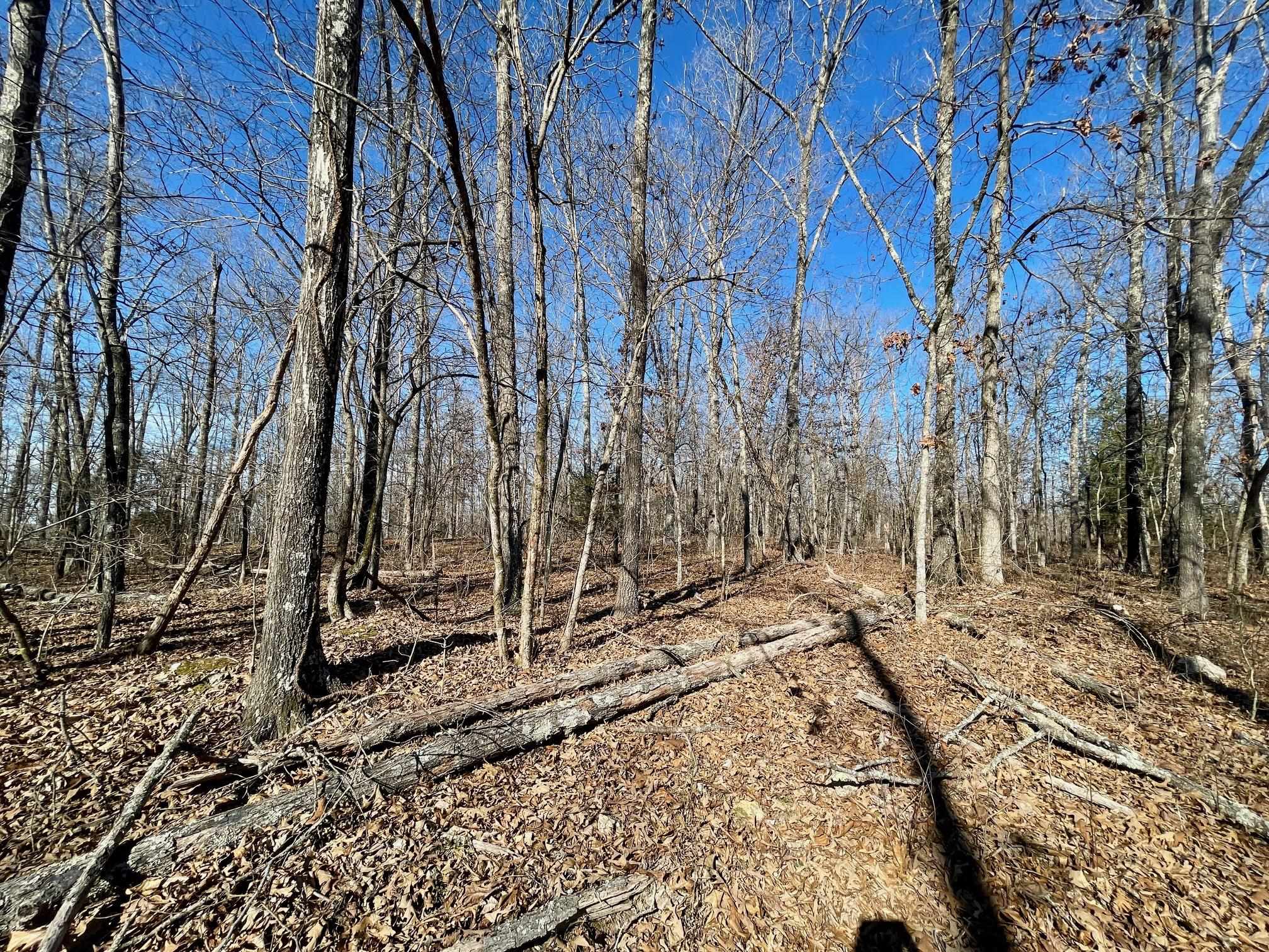 Photo 15 - Vacant Land for sale – 0  Quiet Wood   Hardy, AR