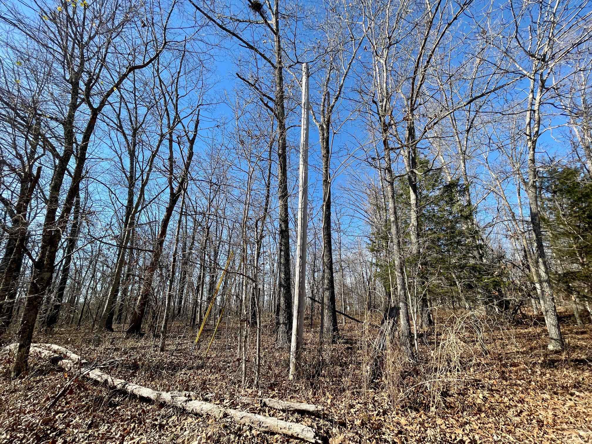 Photo 3 - Vacant Land for sale – 0  Quiet Wood   Hardy, AR