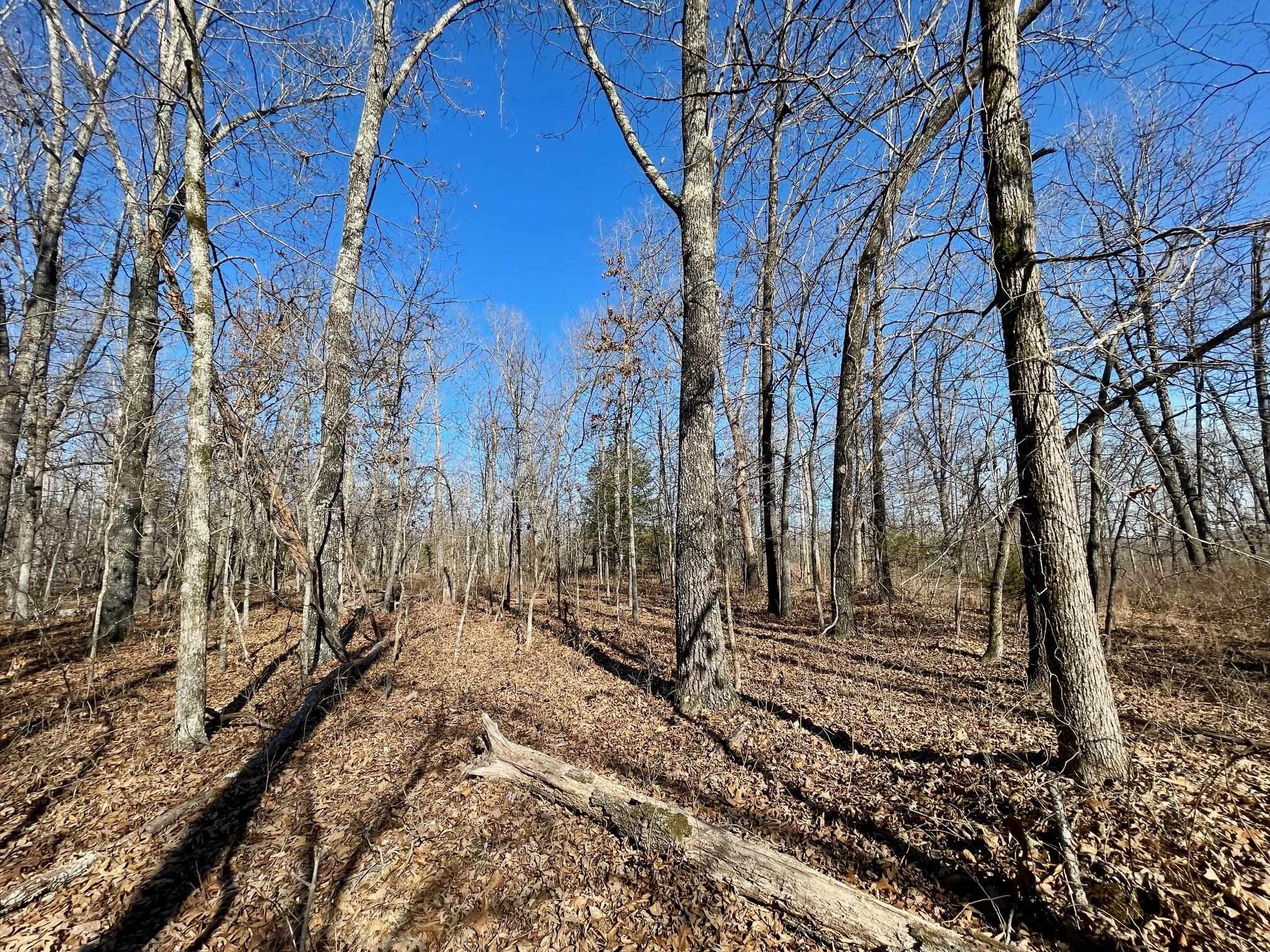 Photo 5 - Vacant Land for sale – 0  Quiet Wood   Hardy, AR