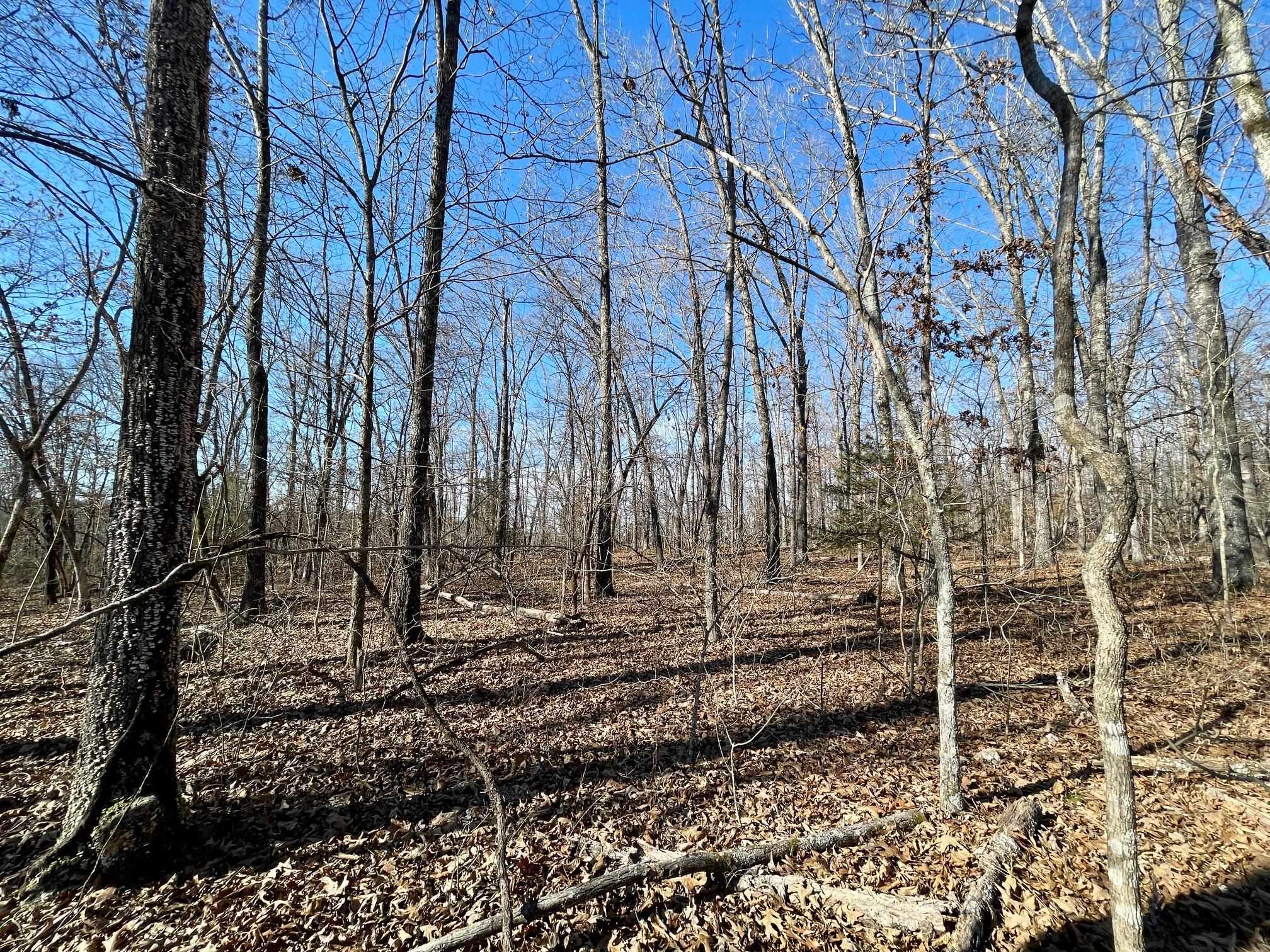 Photo 6 - Vacant Land for sale – 0  Quiet Wood   Hardy, AR