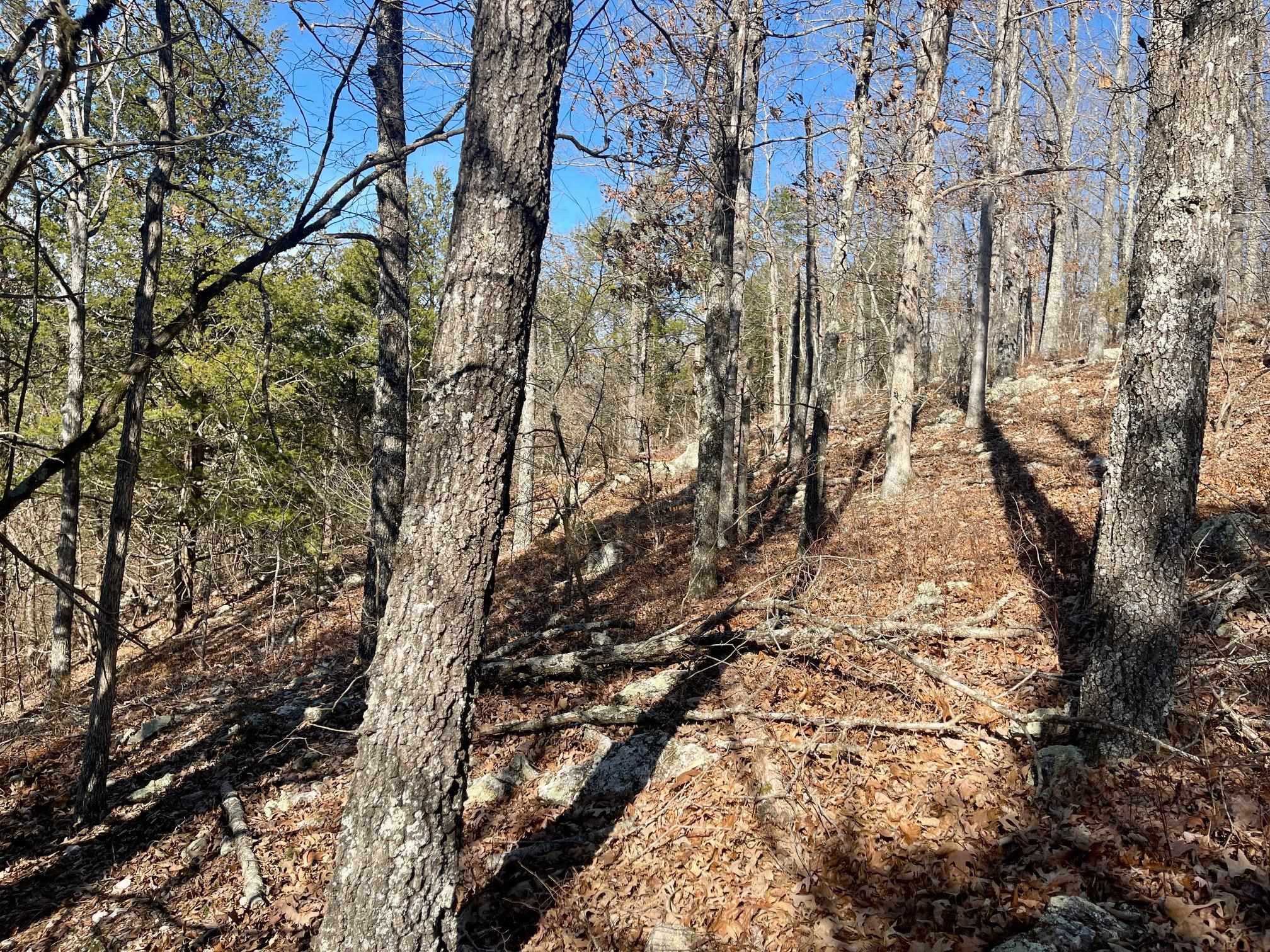 Photo 7 - Vacant Land for sale – 0  Quiet Wood   Hardy, AR