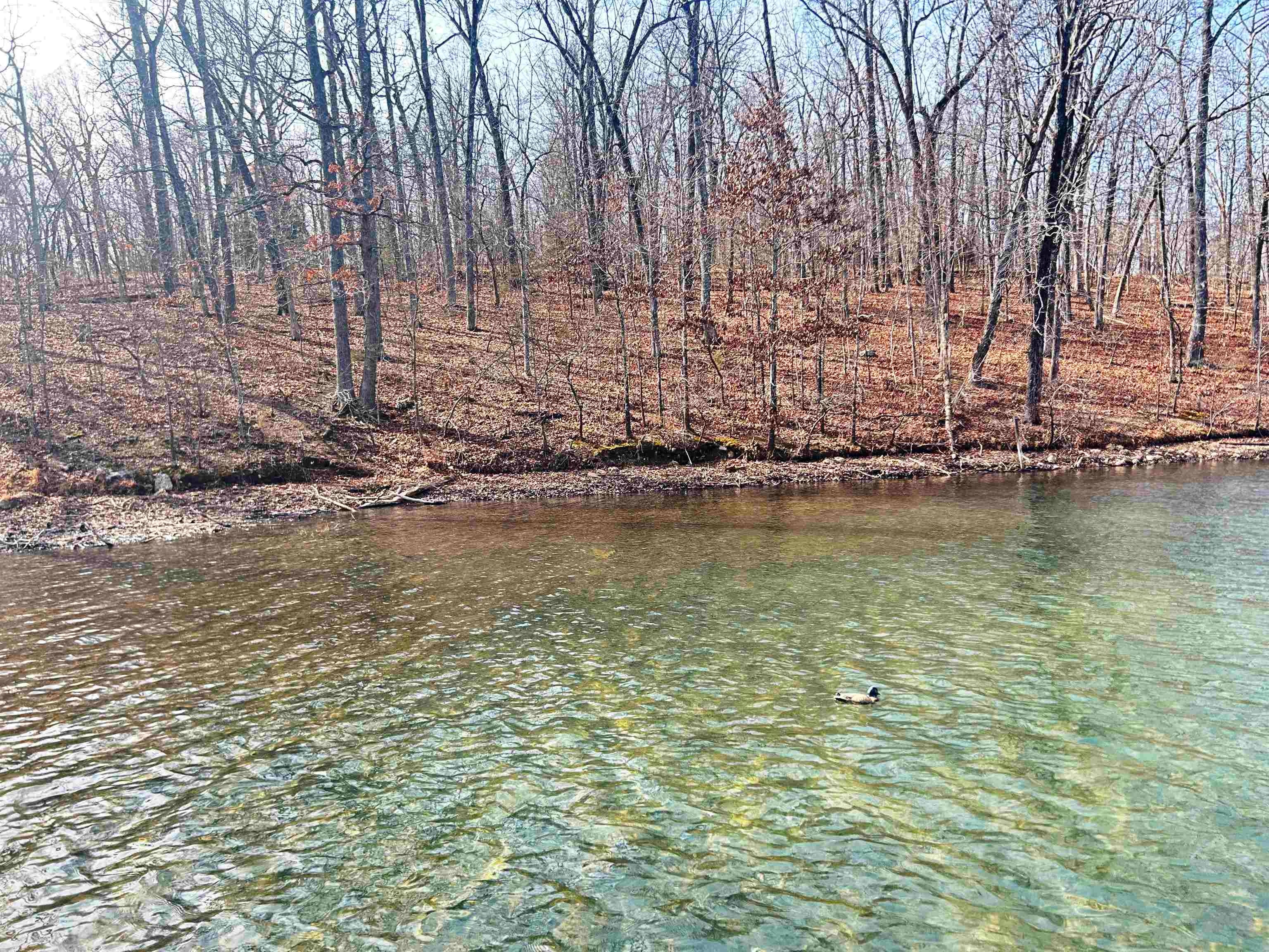 Photo 36 - Residential for sale – 74  Hualapi   Cherokee Village, AR