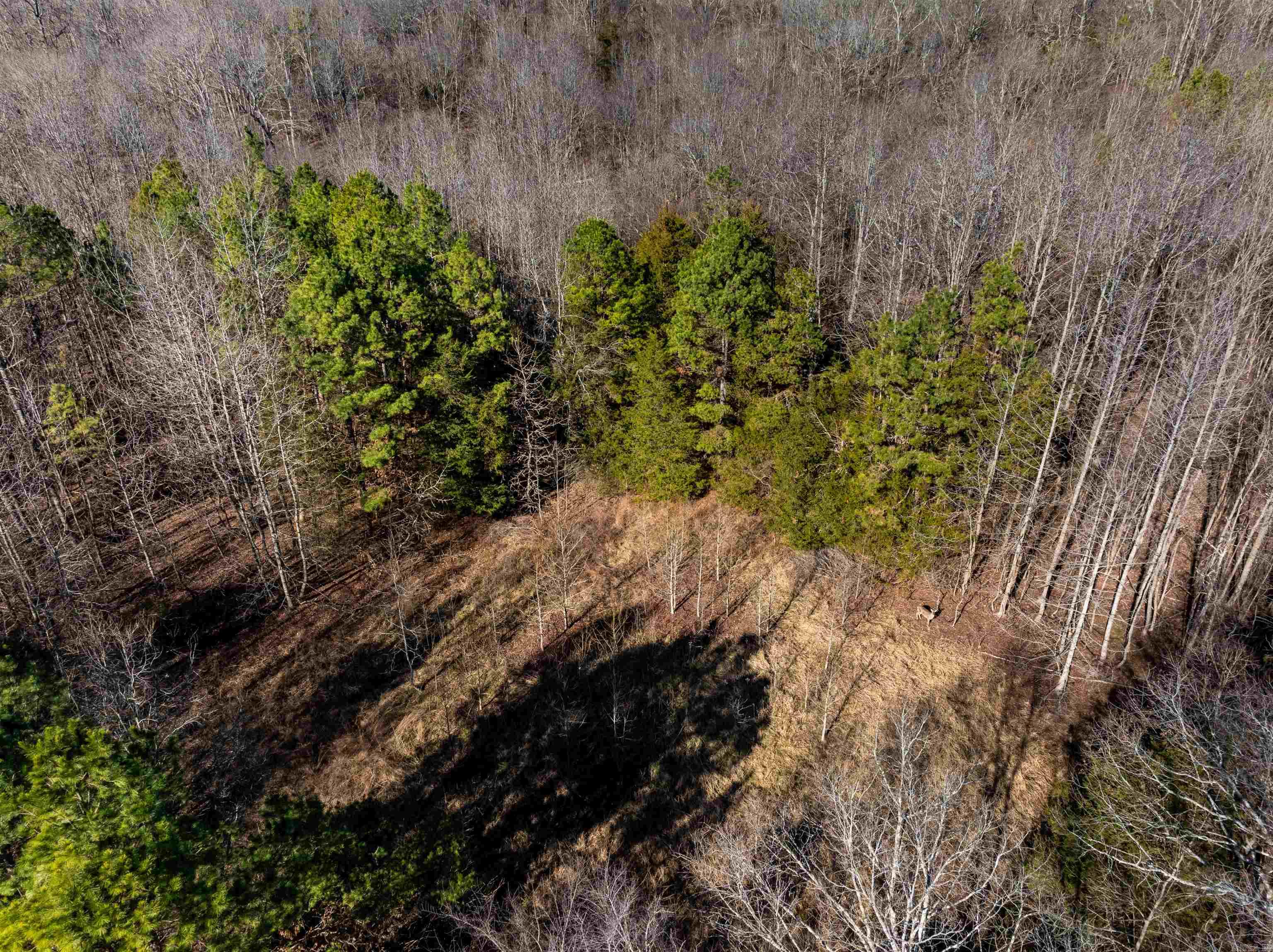 Photo 34 - Residential for sale – 523 E Red Barn   Cave City, AR