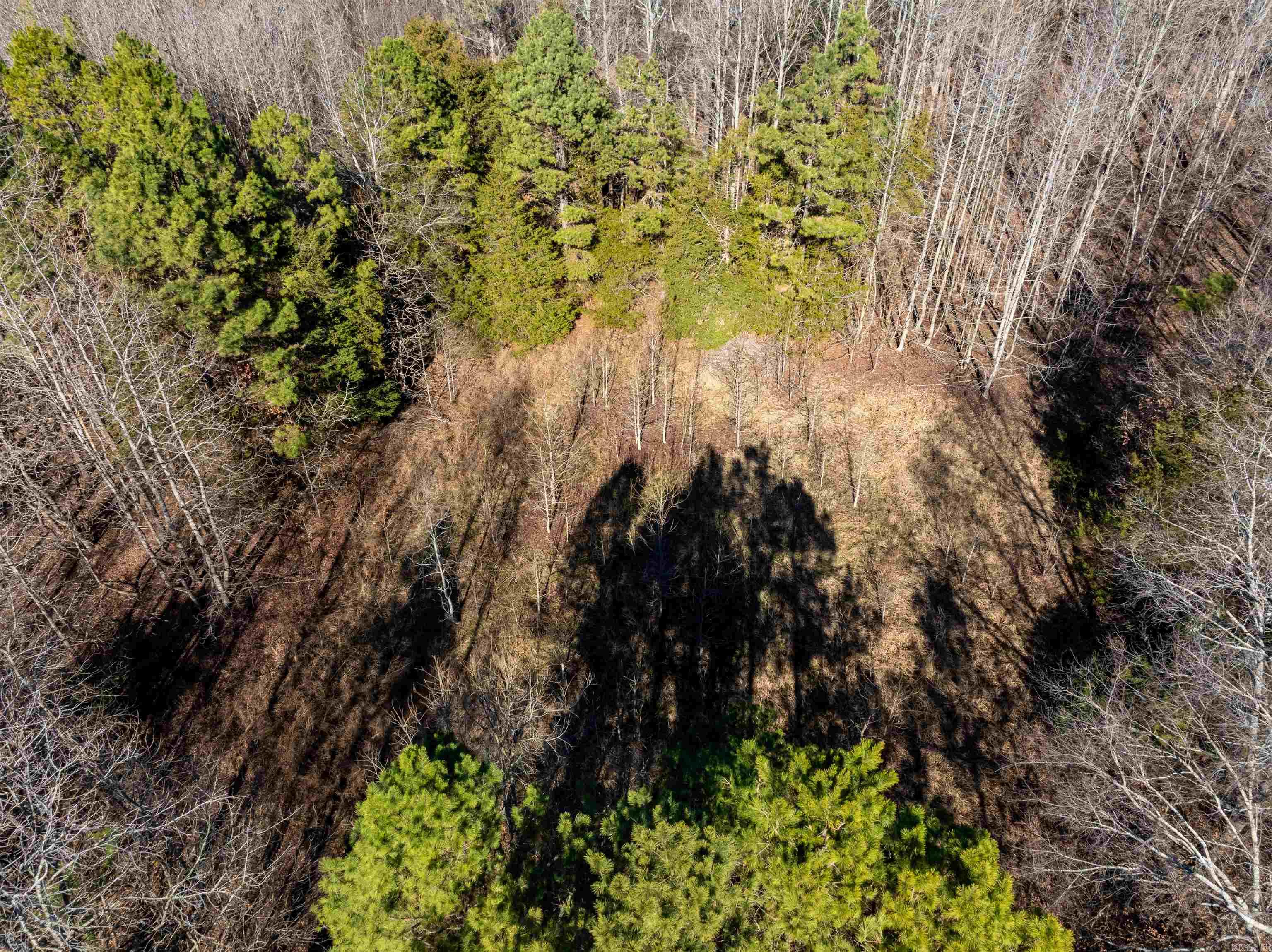 Photo 45 - Residential for sale – 523 E Red Barn   Cave City, AR