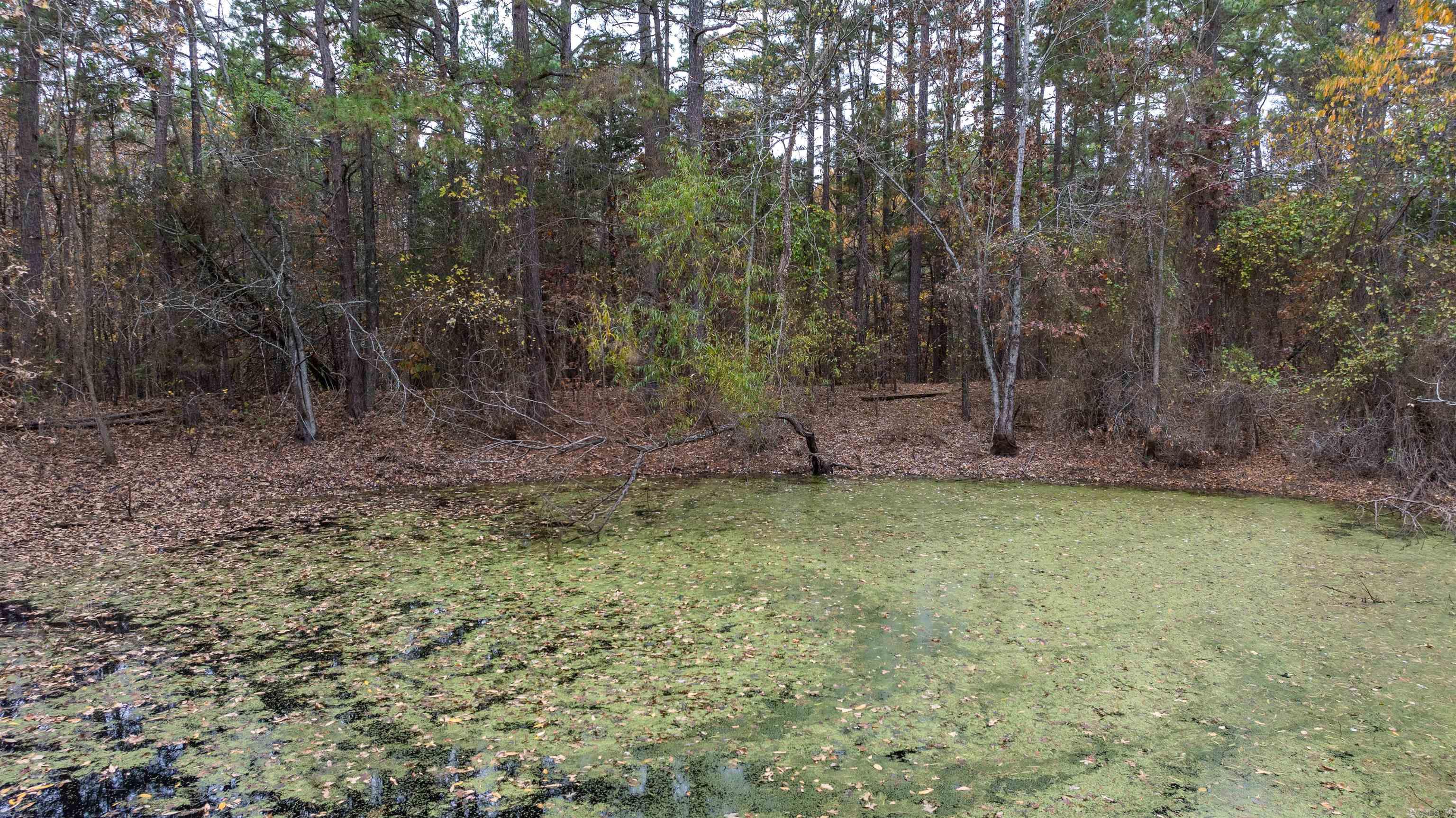 Photo 29 - Residential for sale – 2207  Evening Shade   Evening Shade, AR