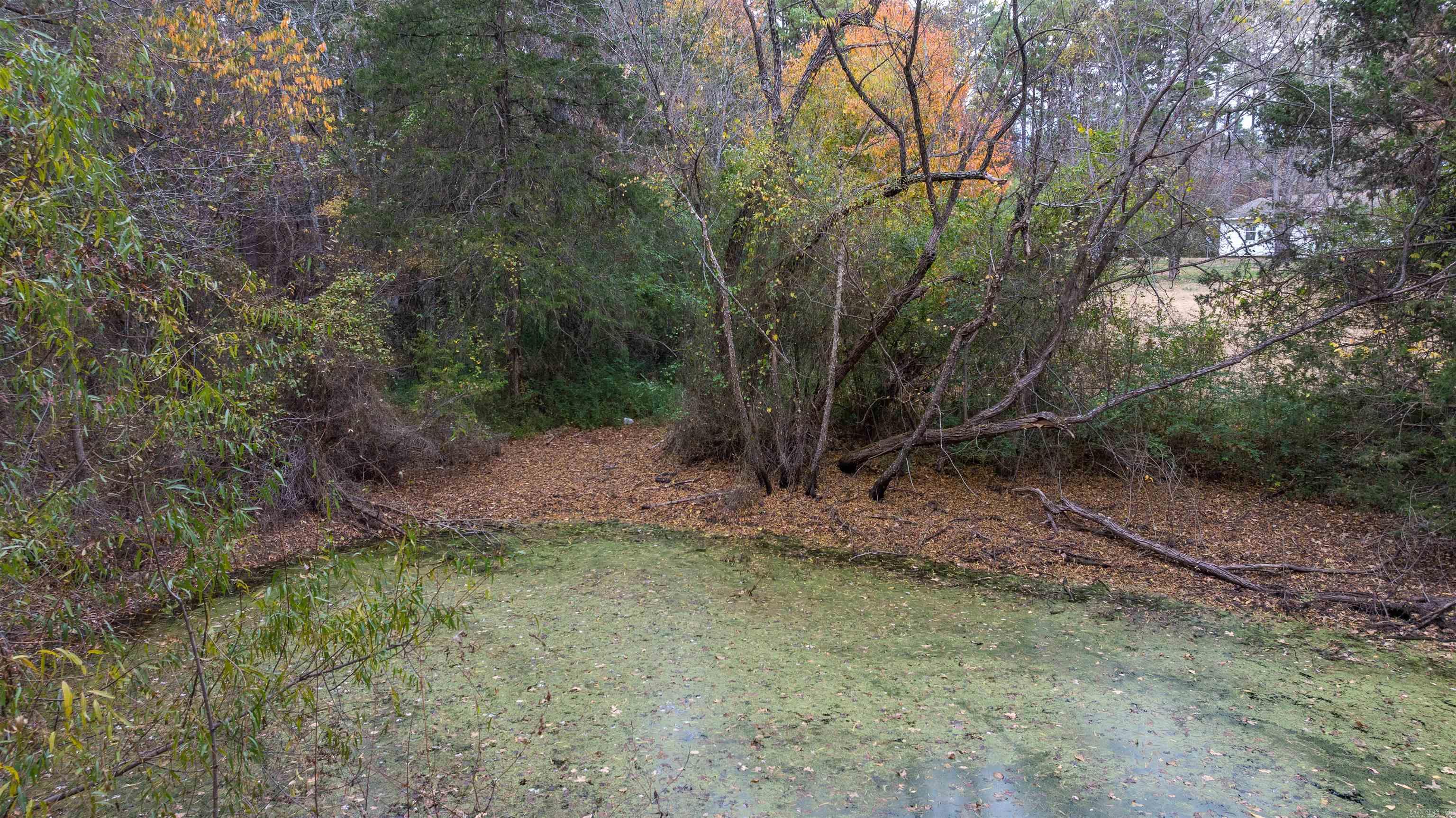 Photo 31 - Residential for sale – 2207  Evening Shade   Evening Shade, AR