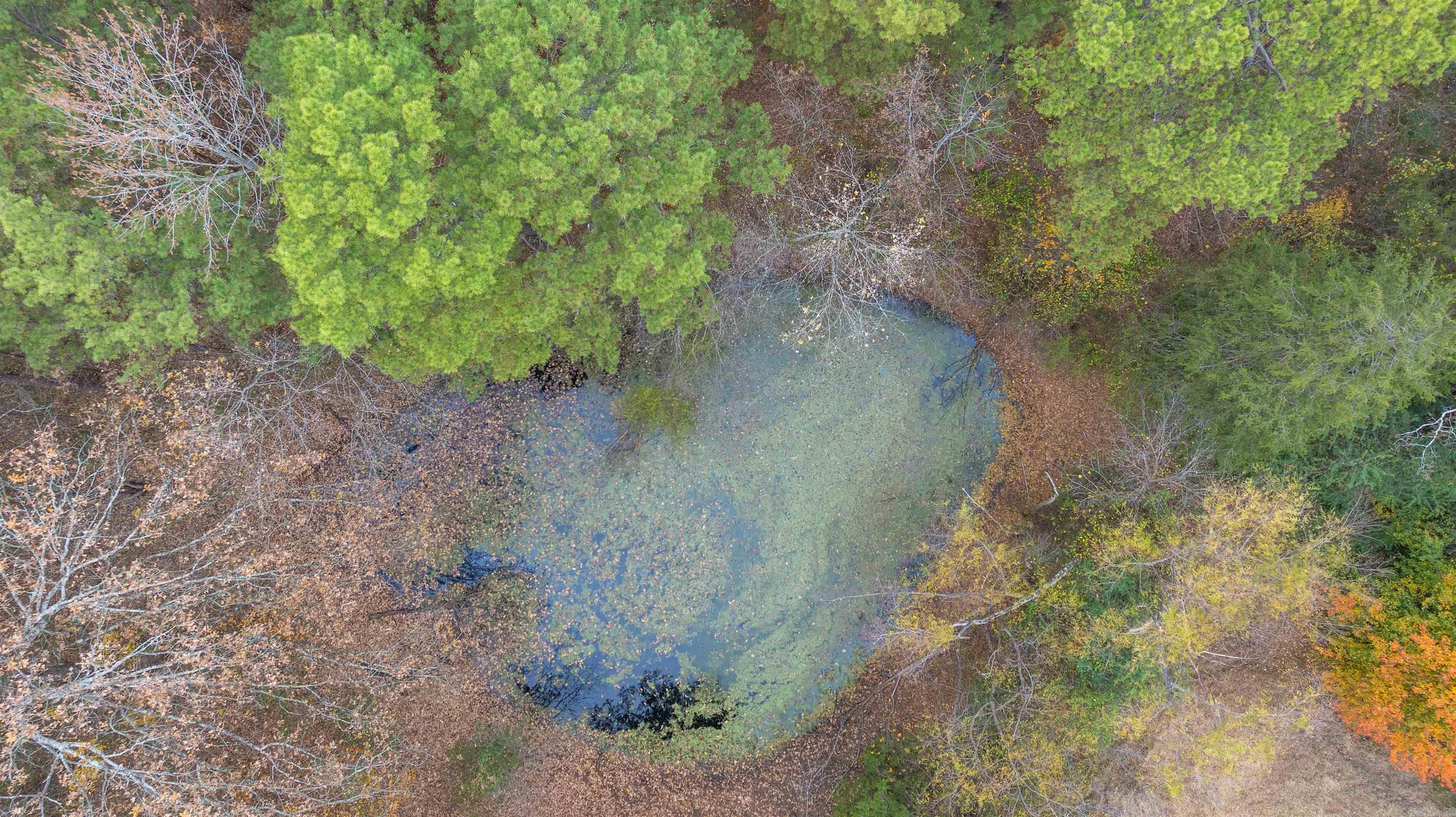 Photo 32 - Residential for sale – 2207  Evening Shade   Evening Shade, AR