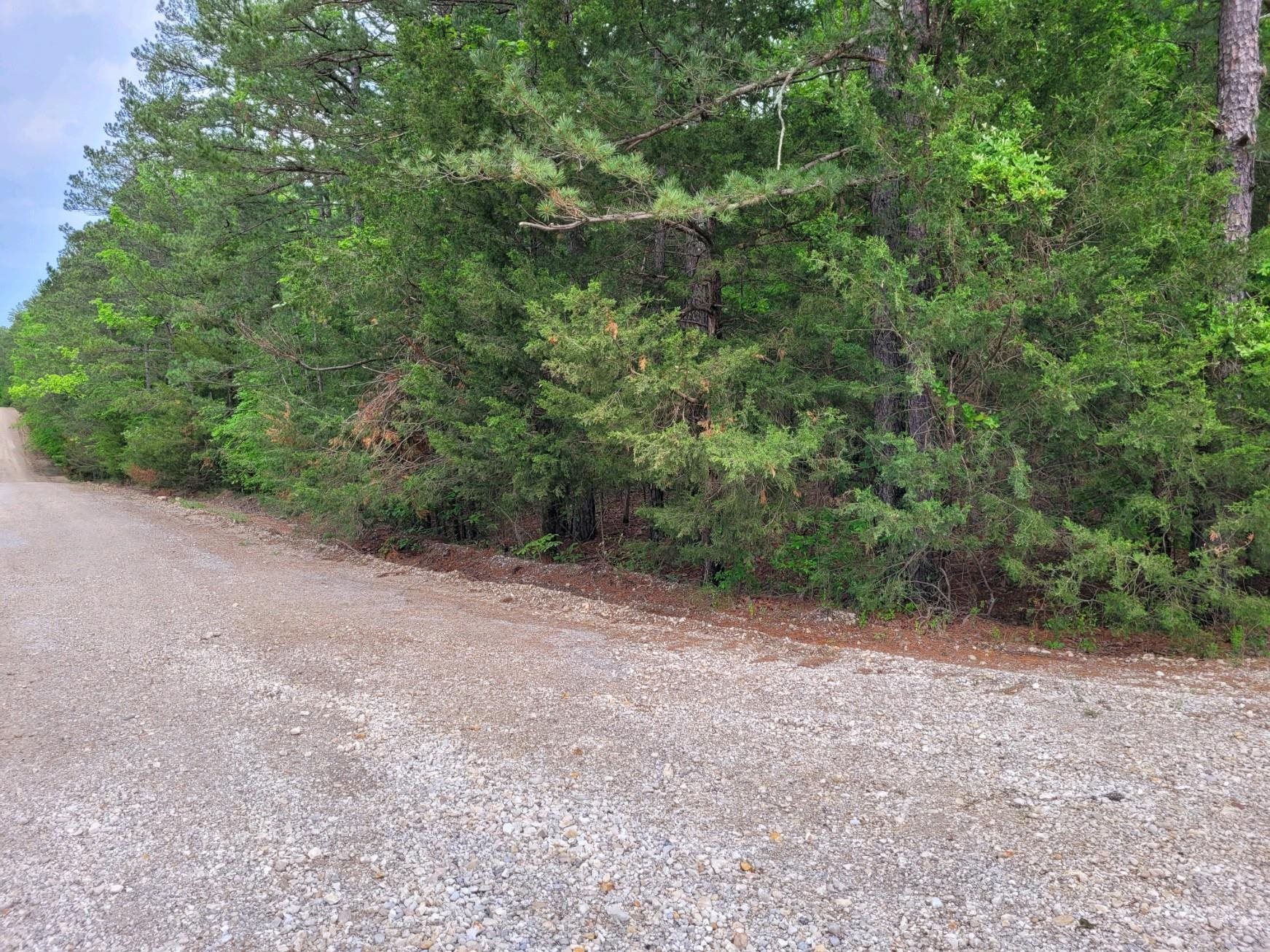 Photo 3 - Vacant Land for sale – Lot 227  Medley Road   Evening Shade, AR