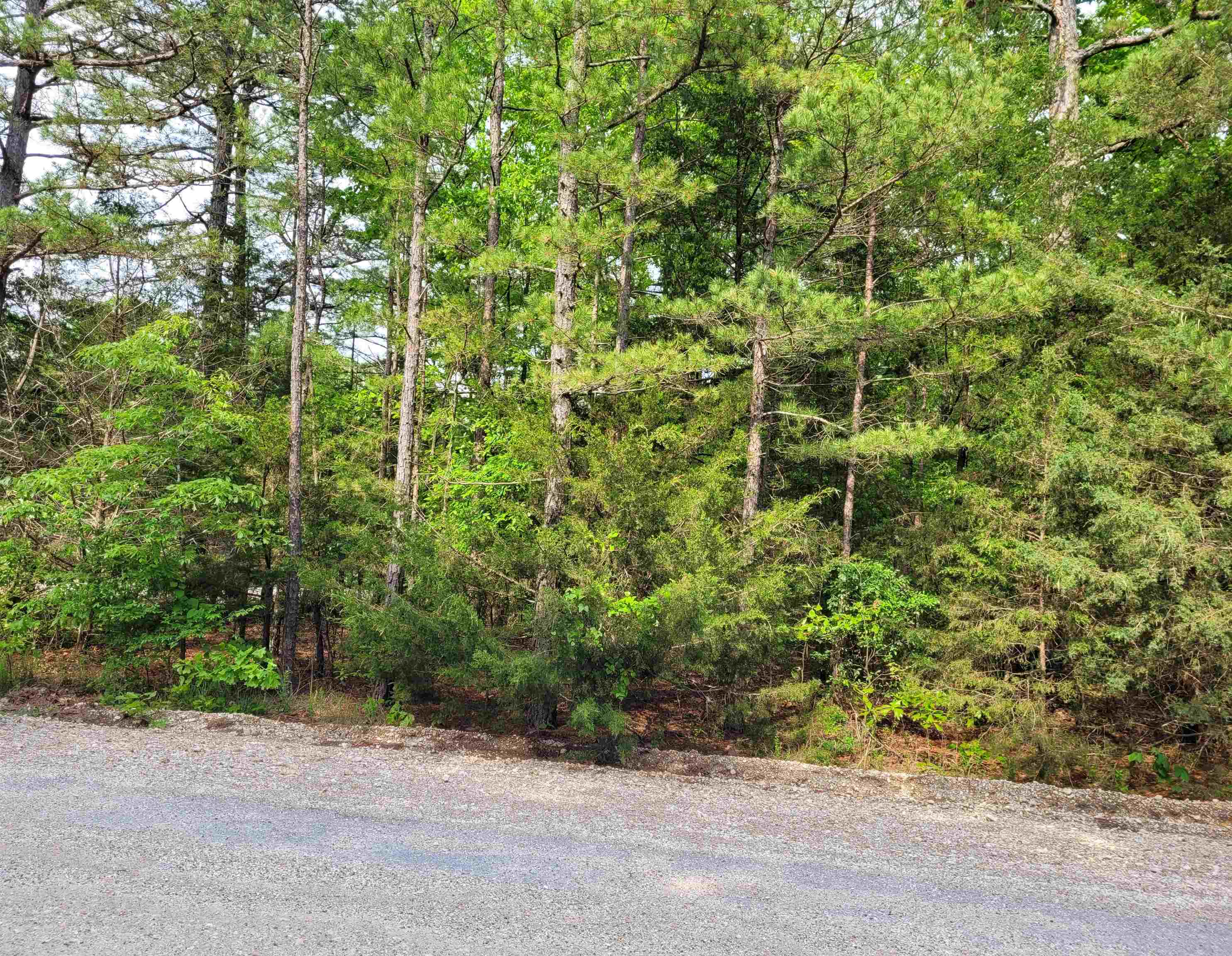 Photo 4 - Vacant Land for sale – Lot 227  Medley Road   Evening Shade, AR