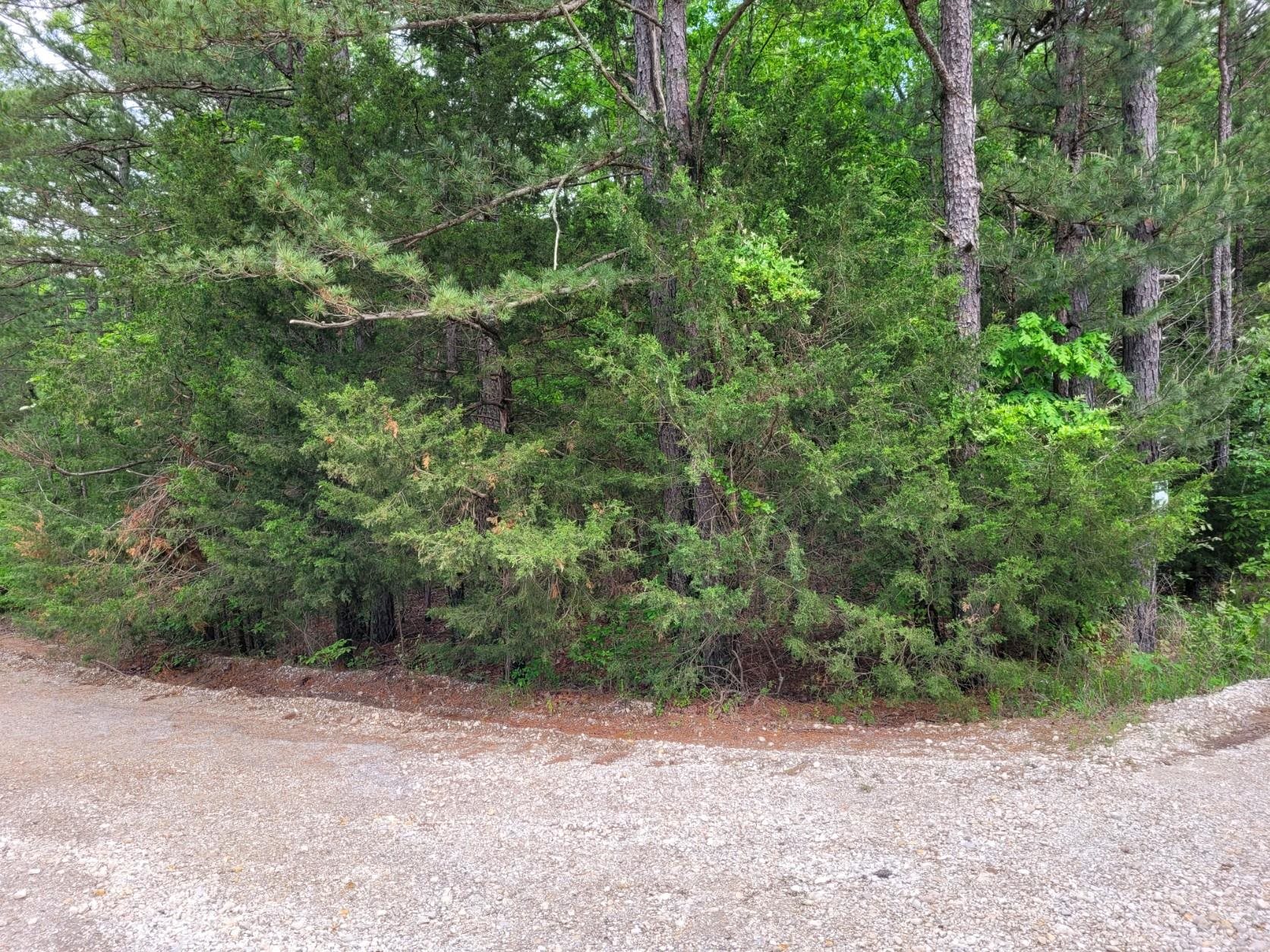 Photo 5 - Vacant Land for sale – Lot 227  Medley Road   Evening Shade, AR