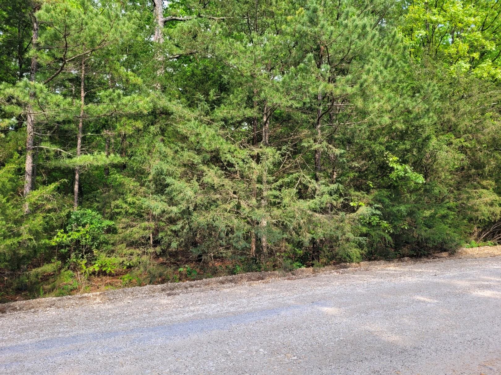 Photo 7 - Vacant Land for sale – Lot 227  Medley Road   Evening Shade, AR