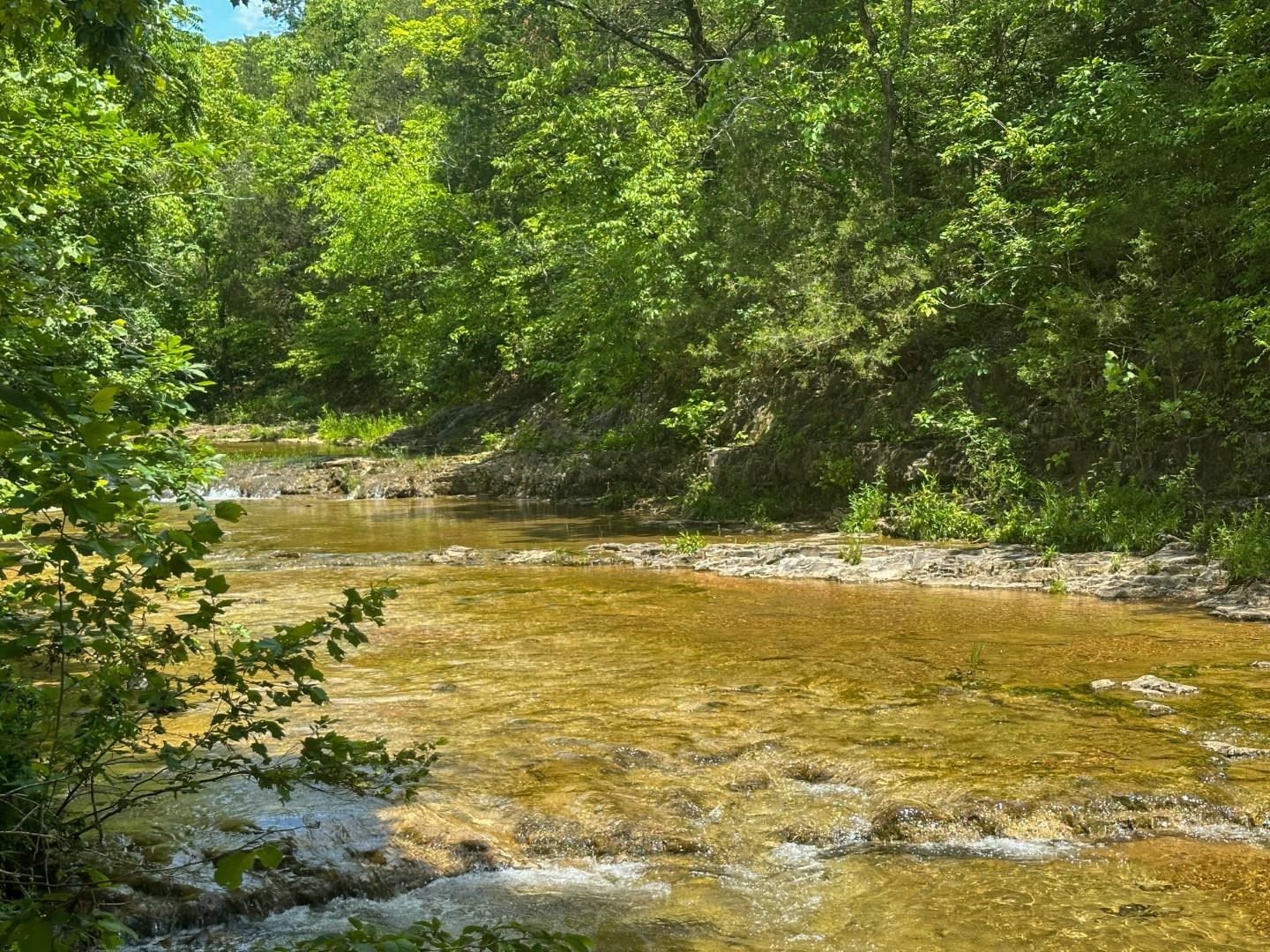 Photo 2 - Vacant Land for sale – 2275  Highway 63   Hardy, AR