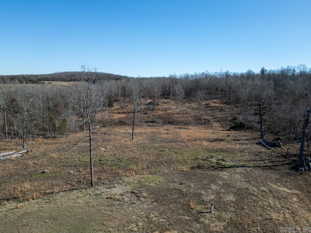 Photo 13 - Vacant Land for sale – 3968  Highway 167   Ash Flat, AR