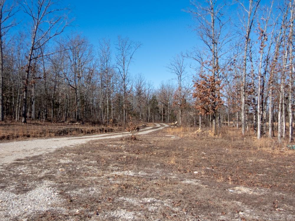 Photo 18 - Vacant Land for sale – 3968  Highway 167   Ash Flat, AR