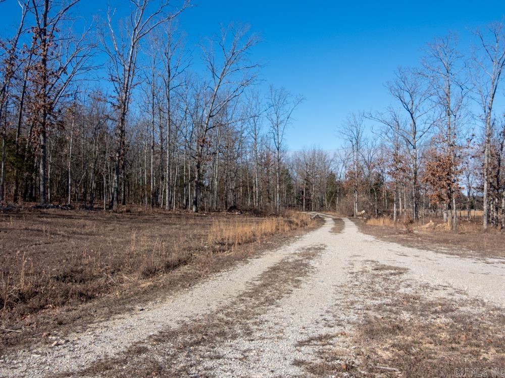 Photo 19 - Vacant Land for sale – 3968  Highway 167   Ash Flat, AR